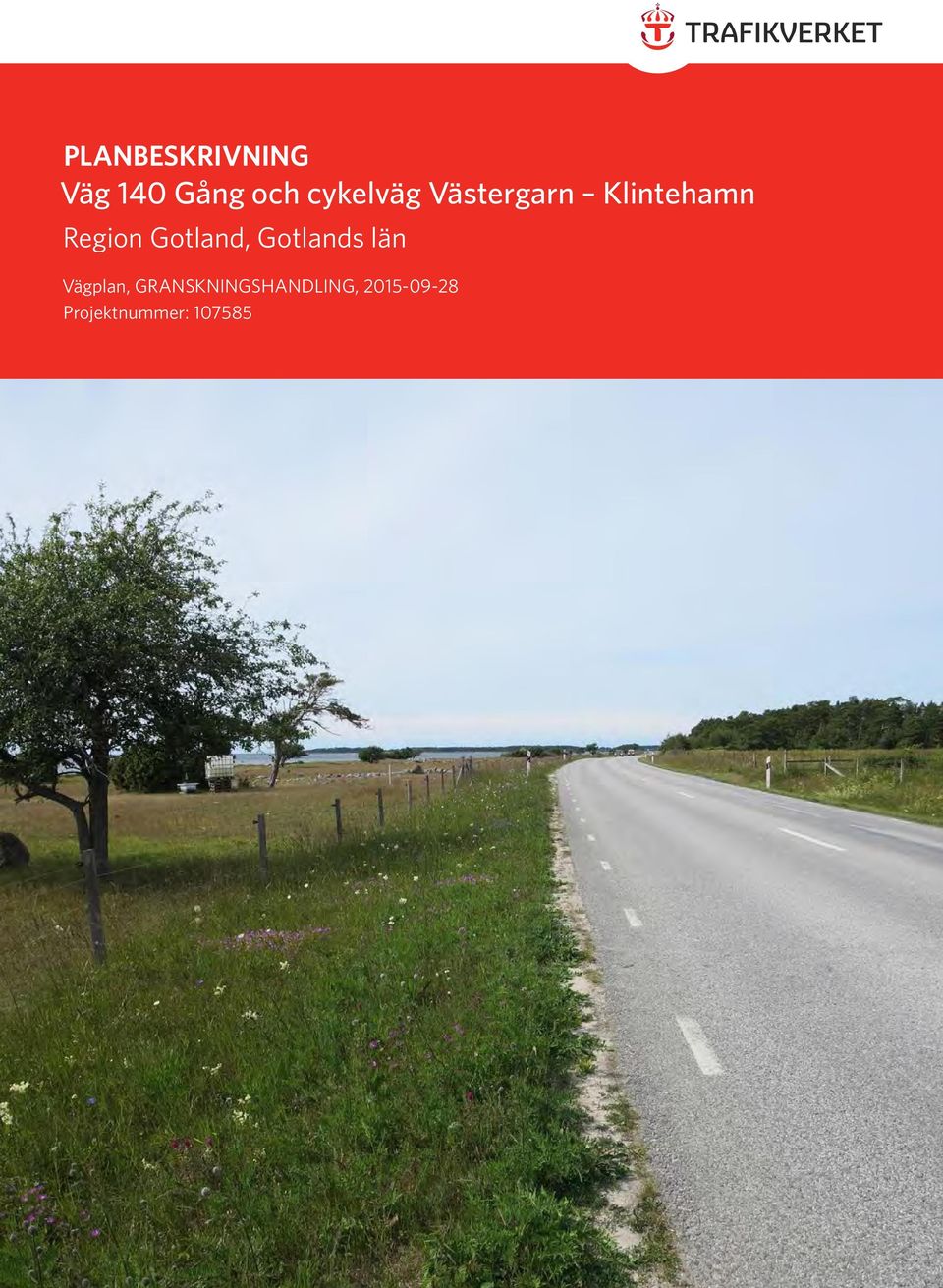 Gotlands län Vägplan, GRANSKNINGSHANDLING,