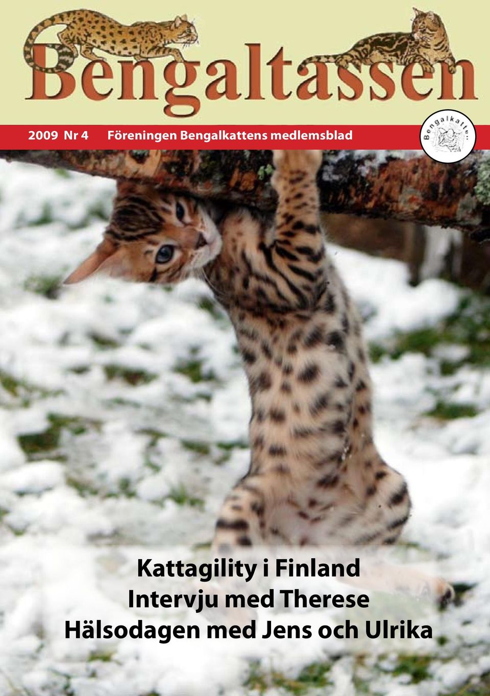 Kattagility i Finland