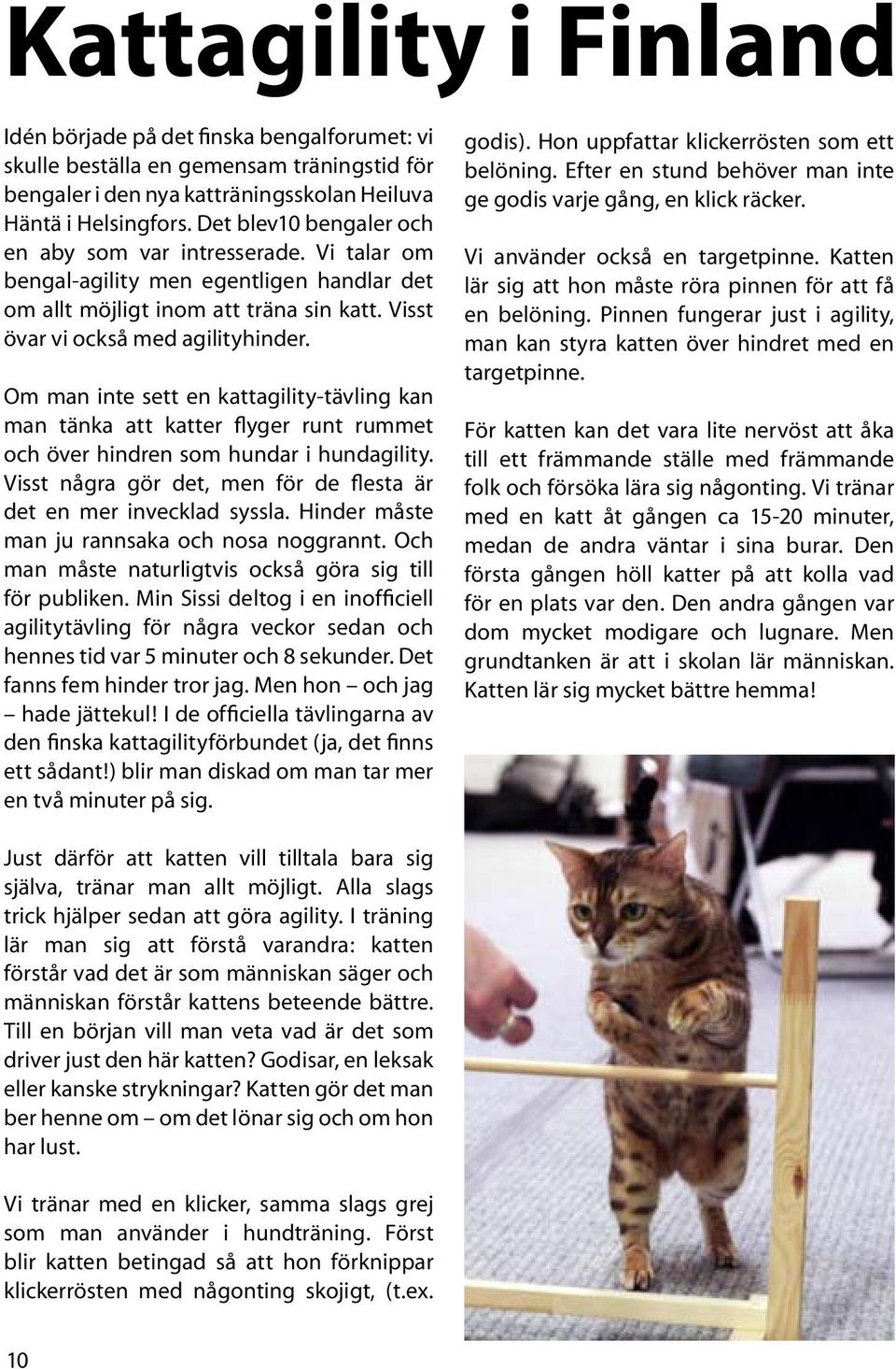 Om man inte sett en kattagility-tävling kan man tänka att katter flyger runt rummet och över hindren som hundar i hundagility. Visst några gör det, men för de flesta är det en mer invecklad syssla.