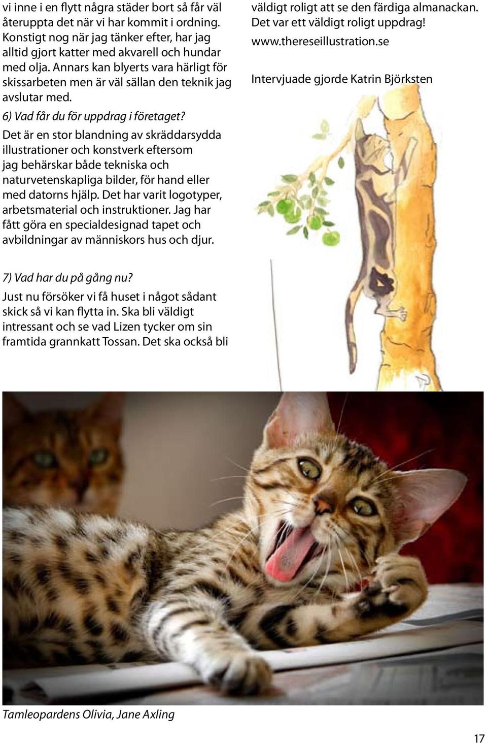 Det är en stor blandning av skräddarsydda illustrationer och konstverk eftersom jag behärskar både tekniska och naturvetenskapliga bilder, för hand eller med datorns hjälp.