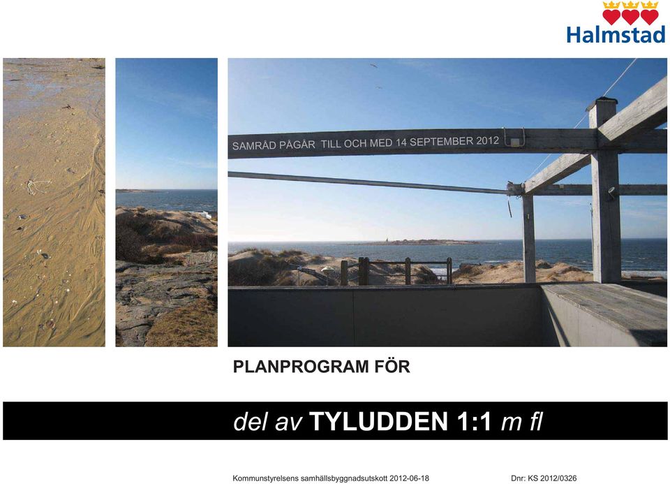 2012 PLANPROGRAM FÖR del av TYLUDDEN 1:1 m fl