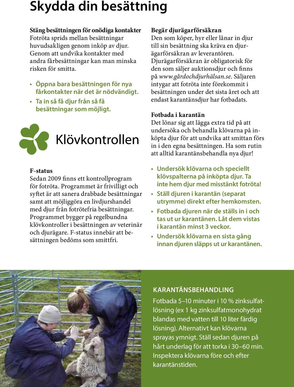 Ta in så få djur från så få besättningar som möjligt. F-status Sedan 2009 finns ett kontrollprogram för fotröta.