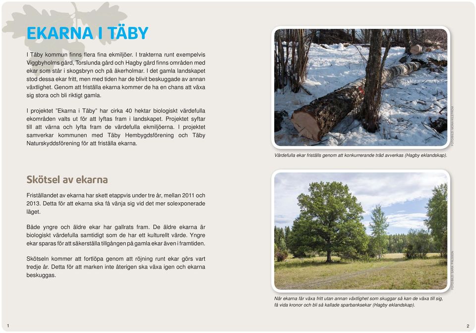 I projektet Ekarna i Täby har cirka 40 hektar biologiskt värdefulla ekområden valts ut för att lyftas fram i landskapet. Projektet syftar till att värna och lyfta fram de värdefulla ekmiljöerna.
