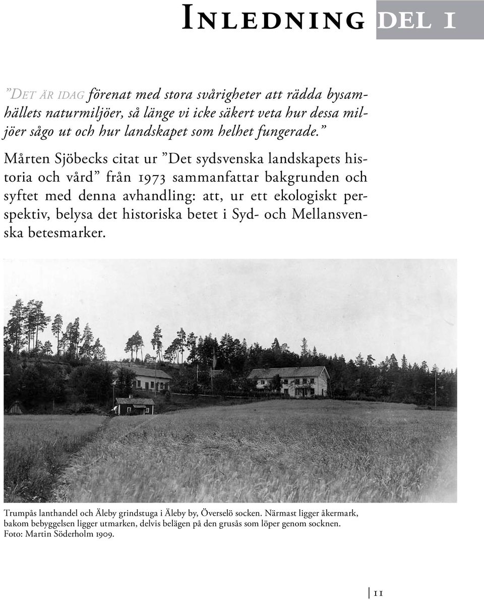 Mårten Sjöbecks citat ur Det sydsvenska landskapets historia och vård från 1973 sammanfattar bakgrunden och syftet med denna avhandling: att, ur ett ekologiskt