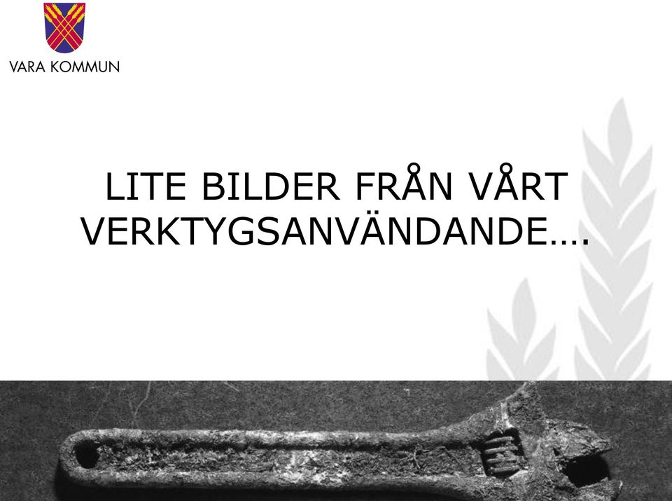 FRÅN VÅRT