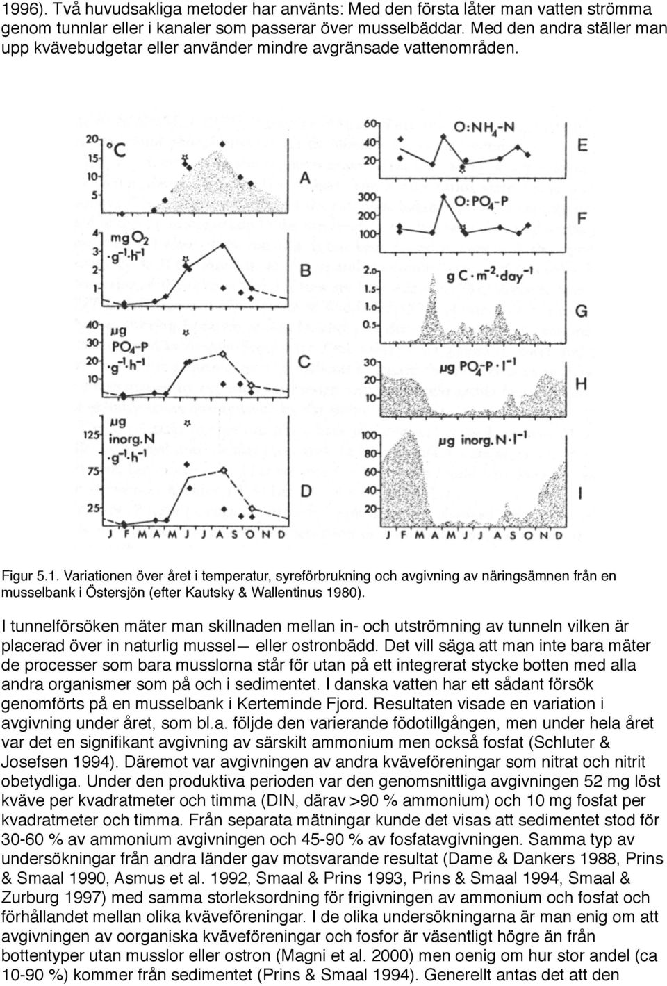 Variationen över året i temperatur, syreförbrukning och avgivning av näringsämnen från en musselbank i Östersjön (efter Kautsky & Wallentinus 1980).