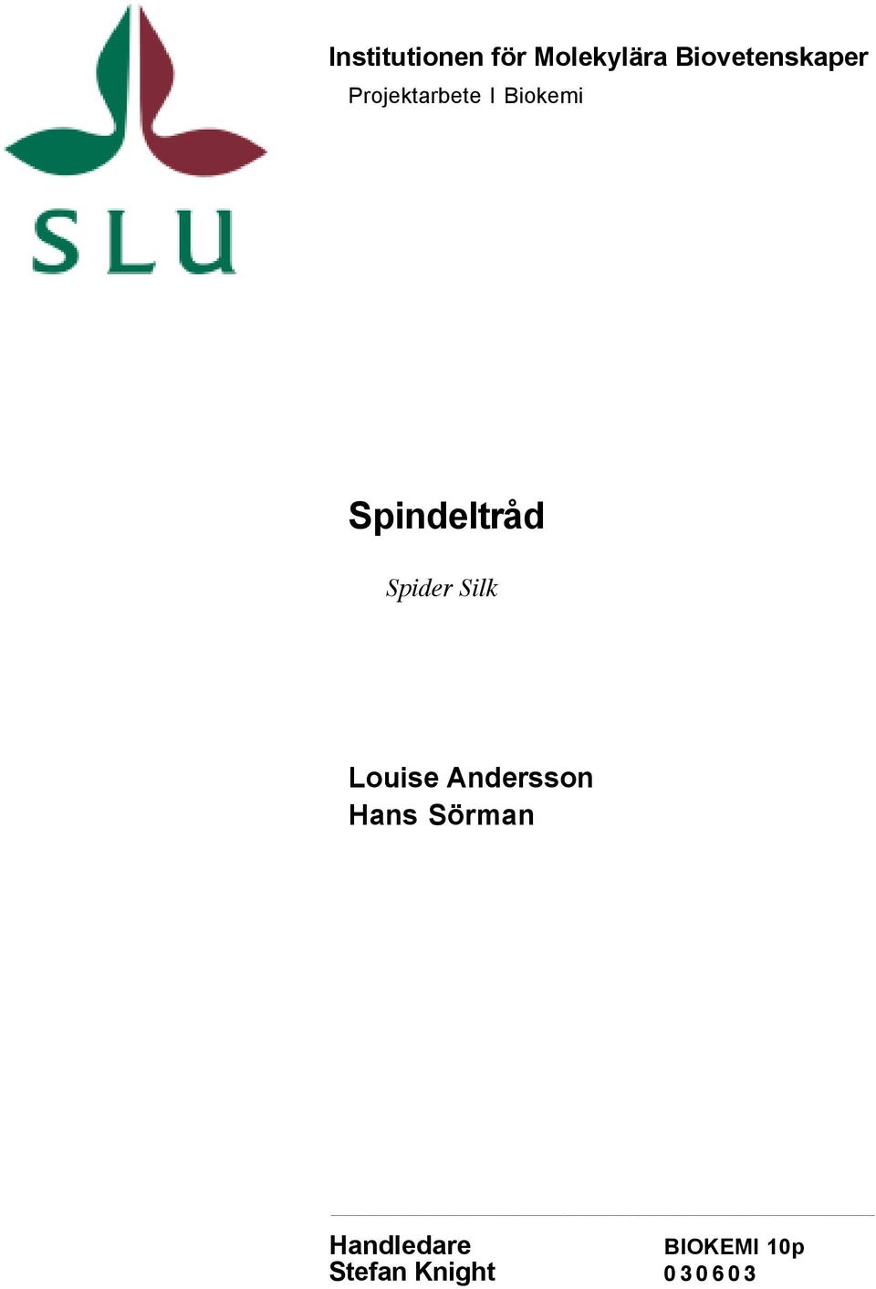 Spindeltråd Spider Silk Louise Andersson