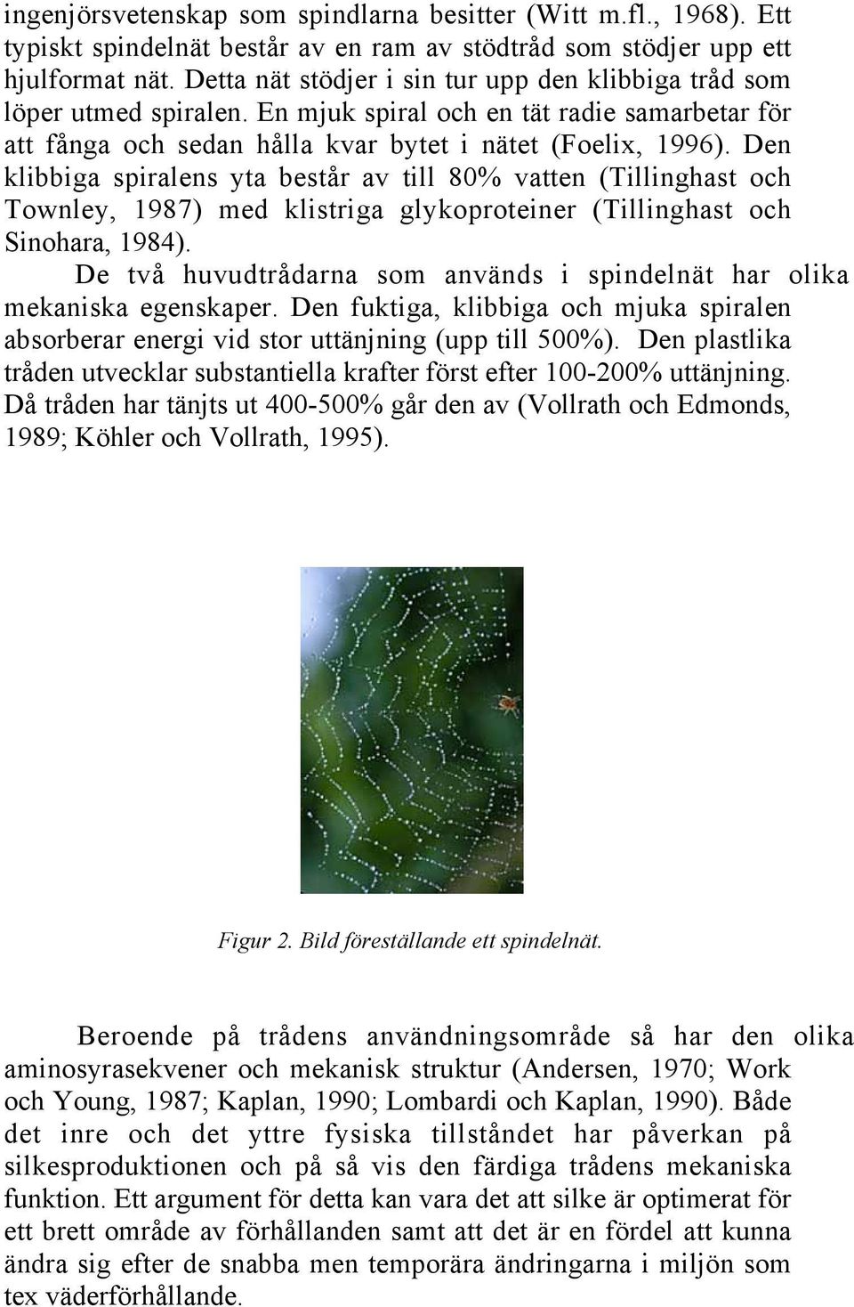 Den klibbiga spiralens yta består av till 80% vatten (Tillinghast och Townley, 1987) med klistriga glykoproteiner (Tillinghast och Sinohara, 1984).