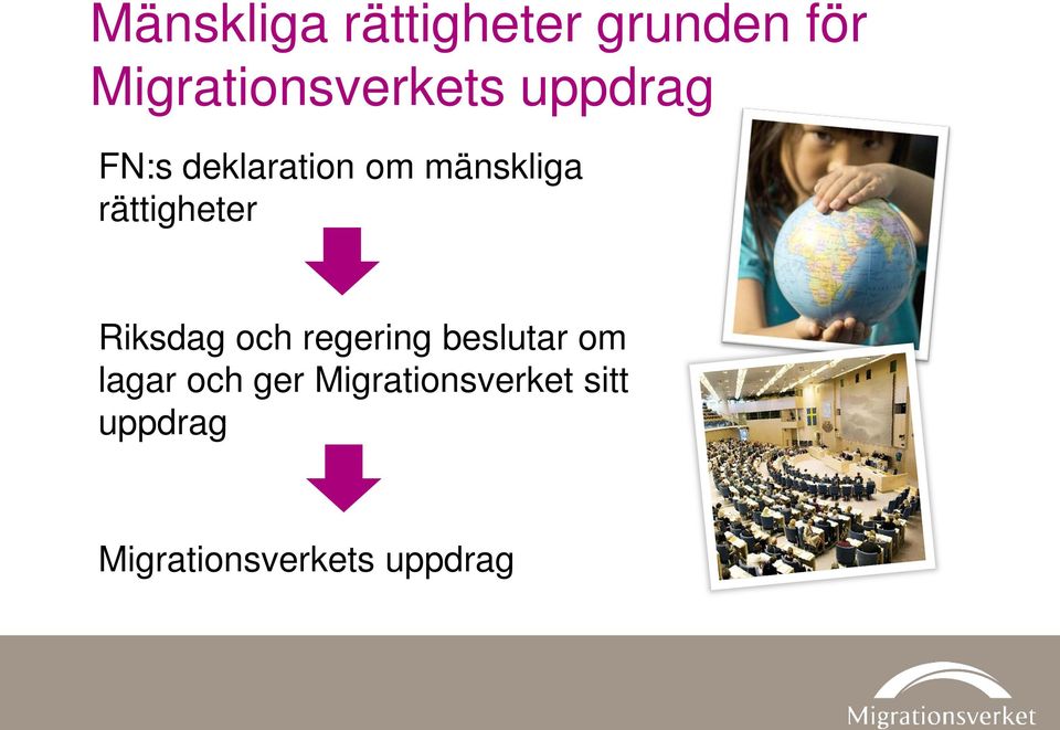 mänskliga rättigheter Riksdag och regering