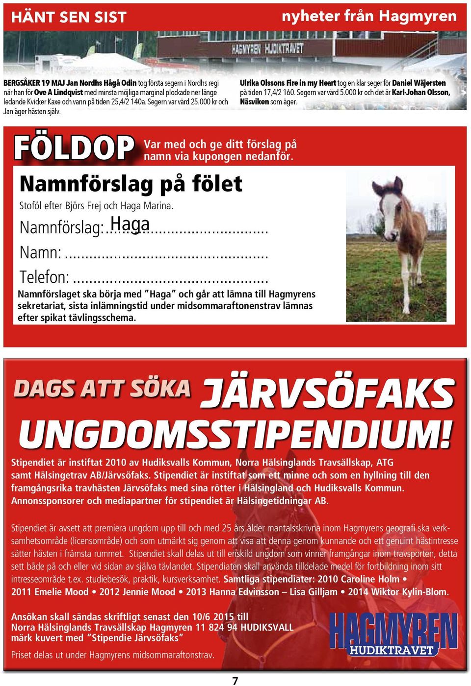 Namnförslag på fölet Stoföl efter Björs Frej och Haga Marina. Namnförslag:... Haga Namn:... Telefon:.