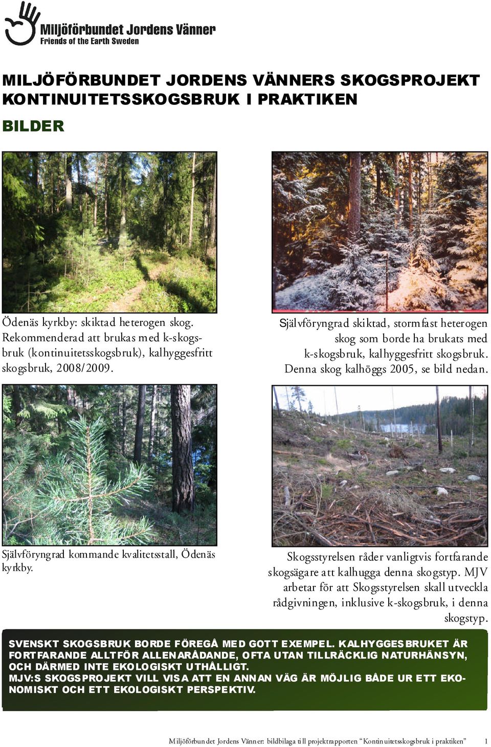 Självföryngrad skiktad, stormfast heterogen skog som borde ha brukats med k-skogsbruk, kalhyggesfritt skogsbruk. Denna skog kalhöggs 2005, se bild nedan.