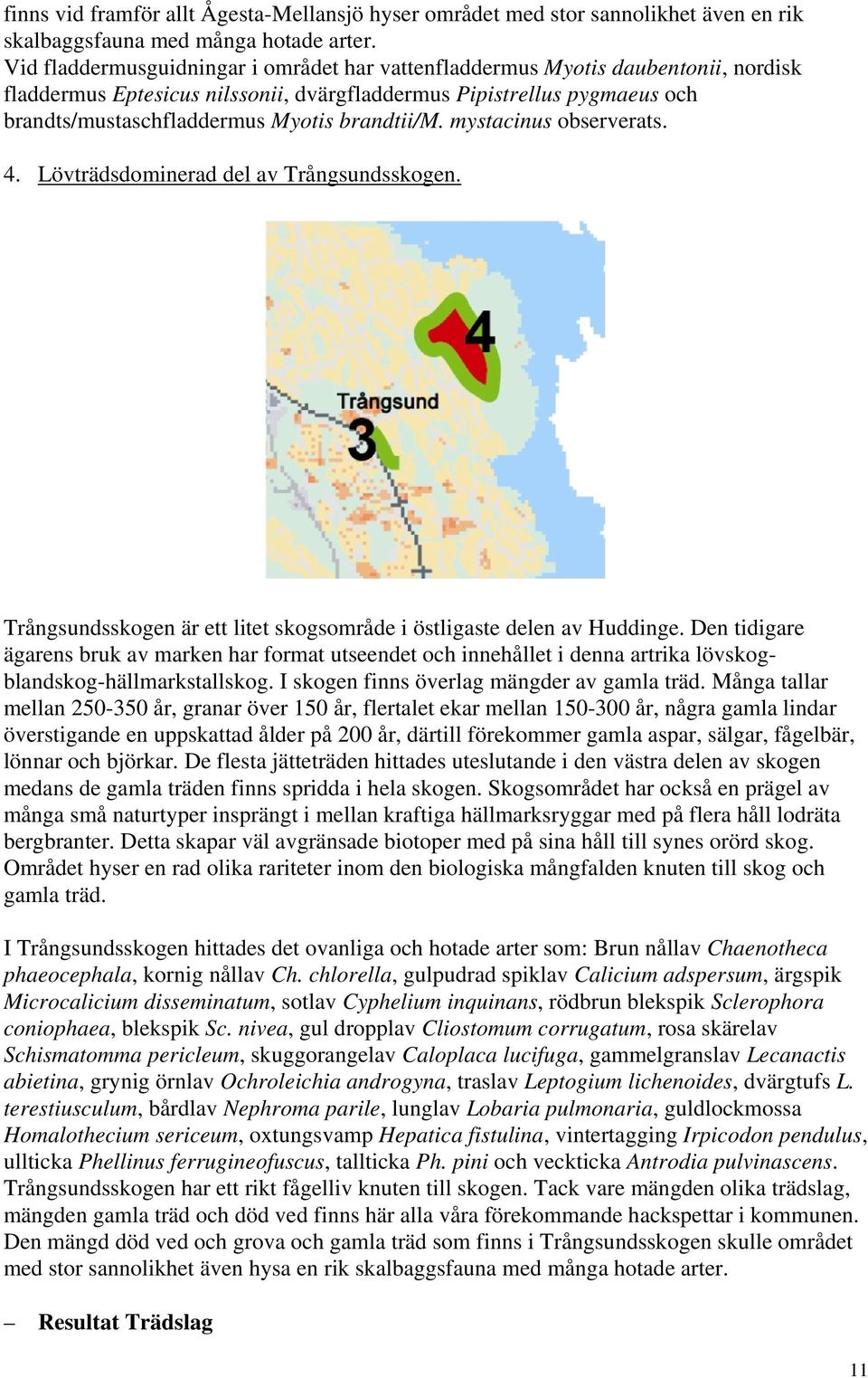 brandtii/m. mystacinus observerats. 4. Lövträdsdominerad del av Trångsundsskogen. Trångsundsskogen är ett litet skogsområde i östligaste delen av Huddinge.