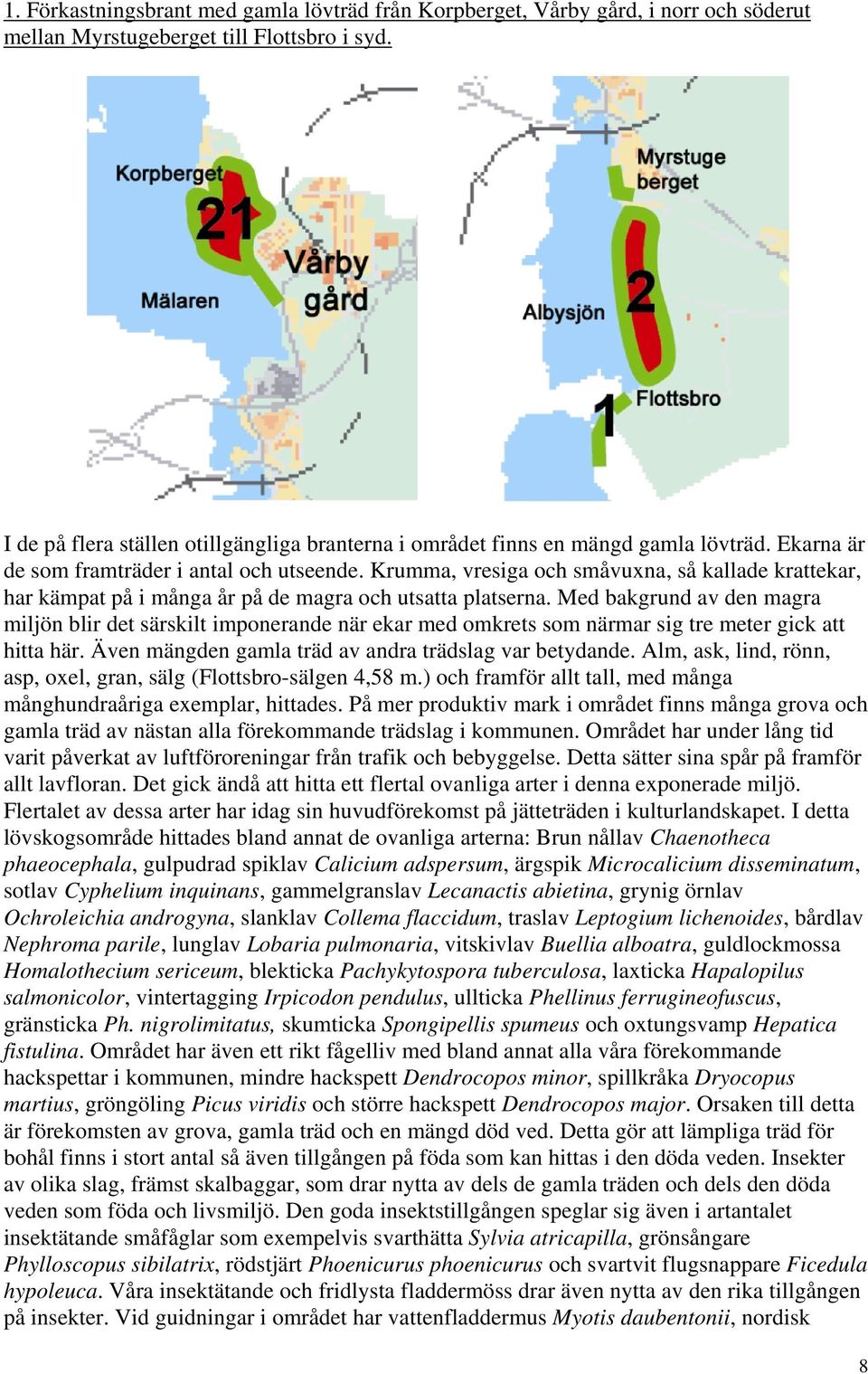 Krumma, vresiga och småvuxna, så kallade krattekar, har kämpat på i många år på de magra och utsatta platserna.