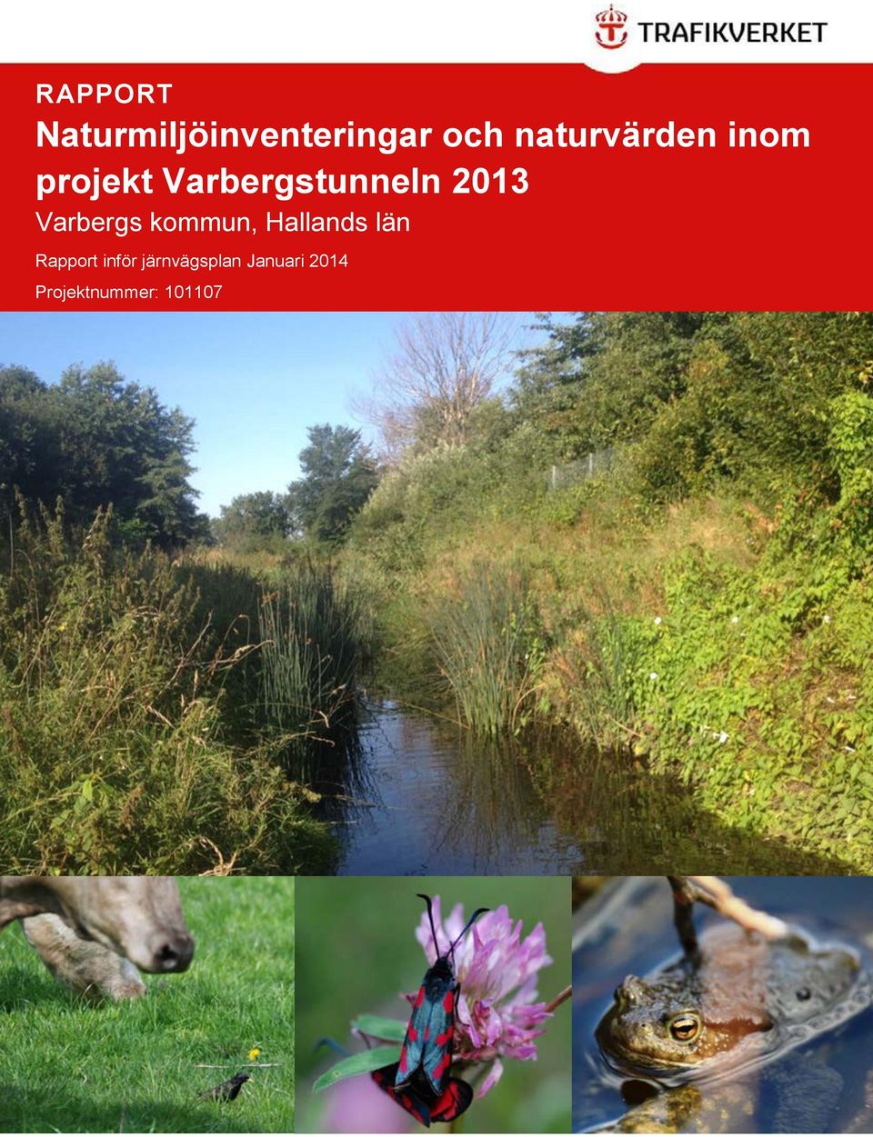 2013 Varbergs kommun, Hallands län Rapport
