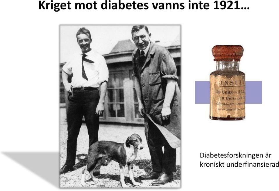 Diabetesforskningen