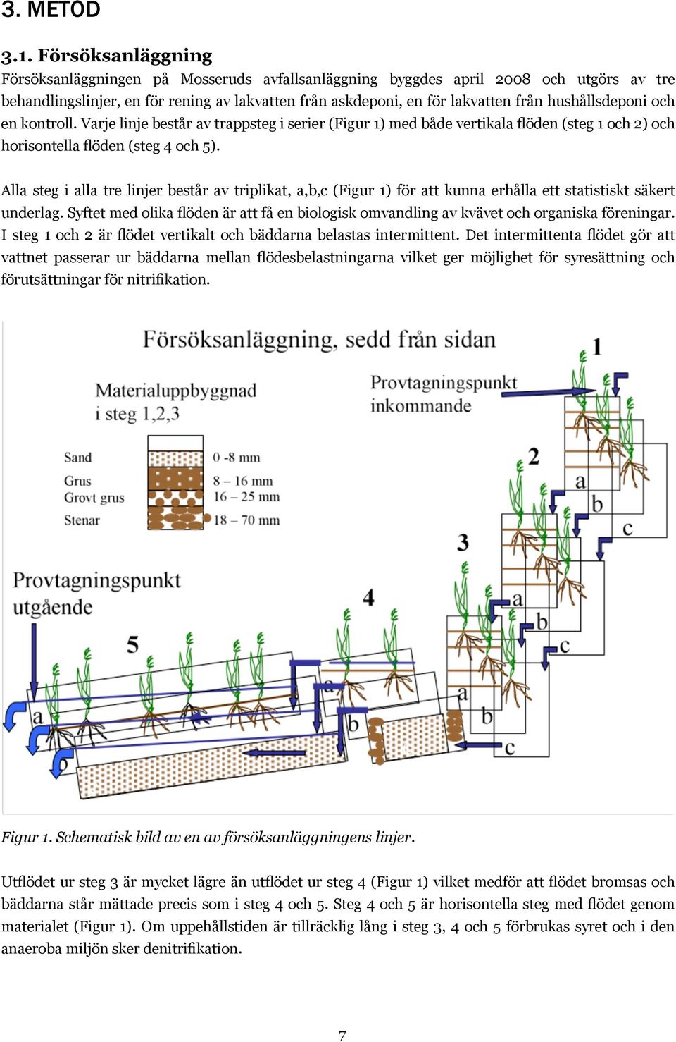 hushållsdeponi och en kontroll. Varje linje består av trappsteg i serier (Figur 1) med både vertikala flöden (steg 1 och 2) och horisontella flöden (steg 4 och 5).