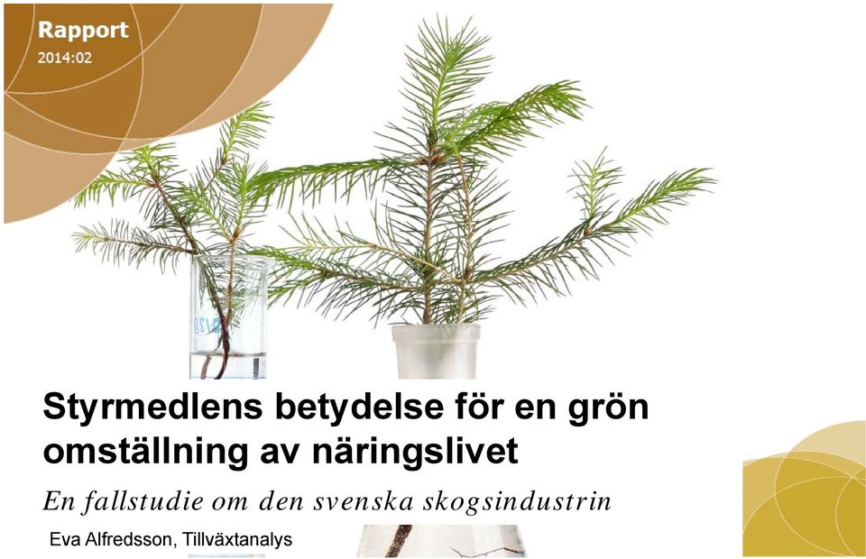 fallstudie om den svenska