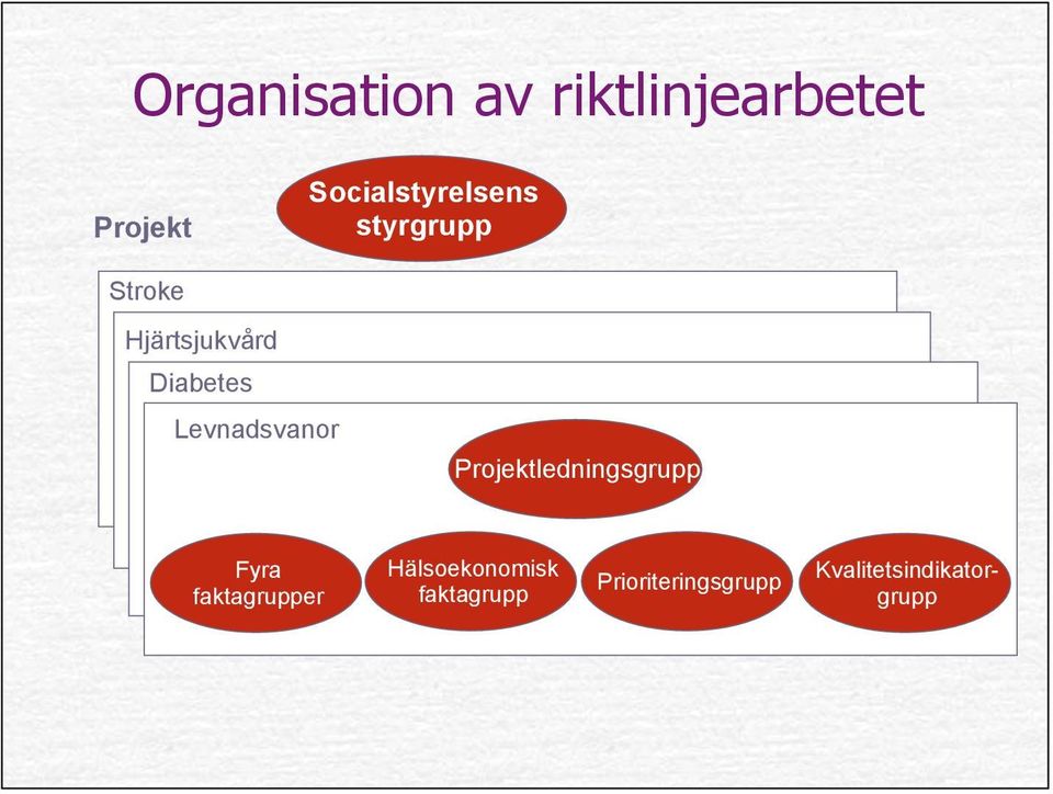 Diabetes Levnadsvanor Projektledningsgrupp Fyra