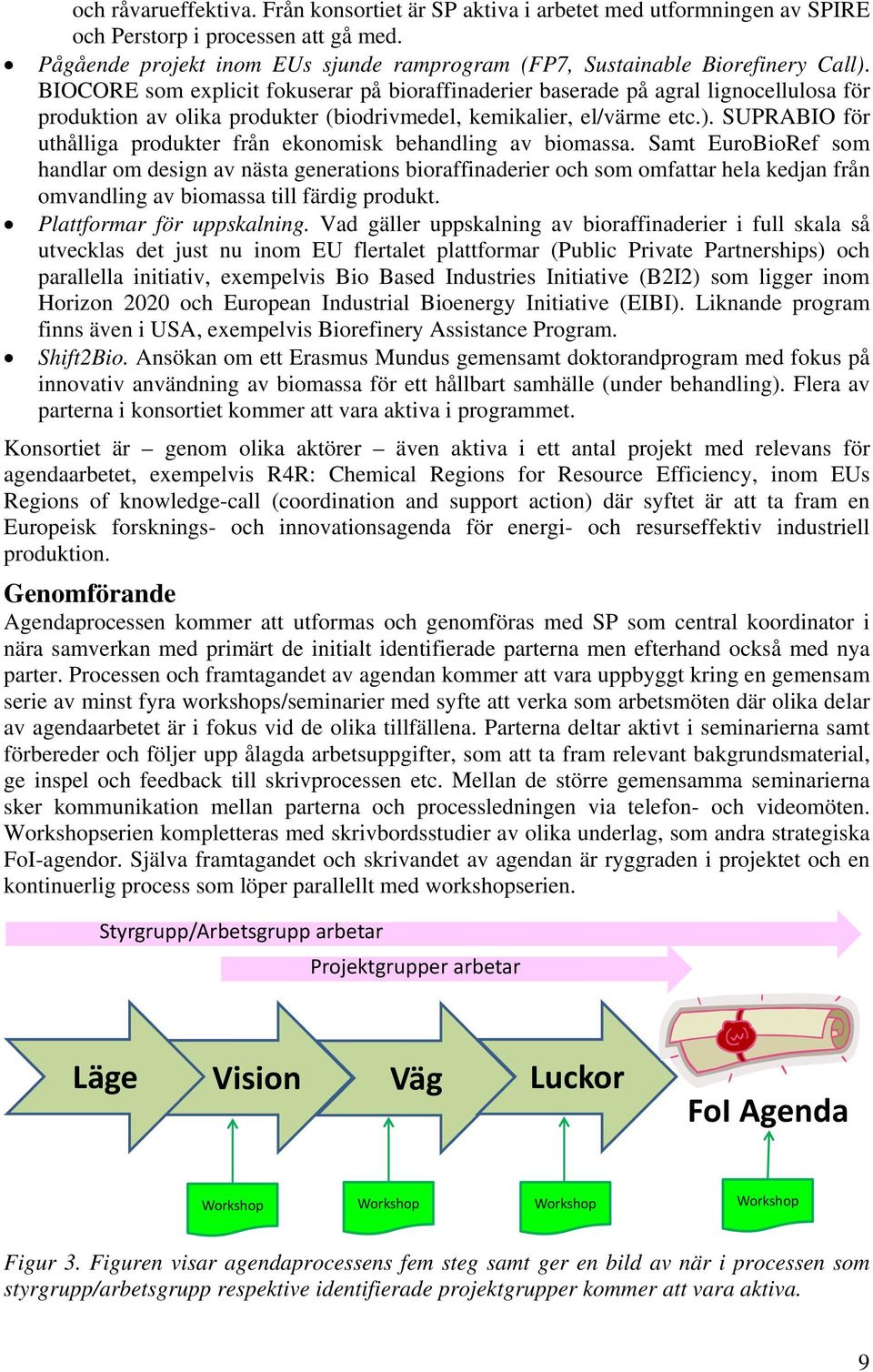 BIOCORE som explicit fokuserar på bioraffinaderier baserade på agral lignocellulosa för produktion av olika produkter (biodrivmedel, kemikalier, el/värme etc.).