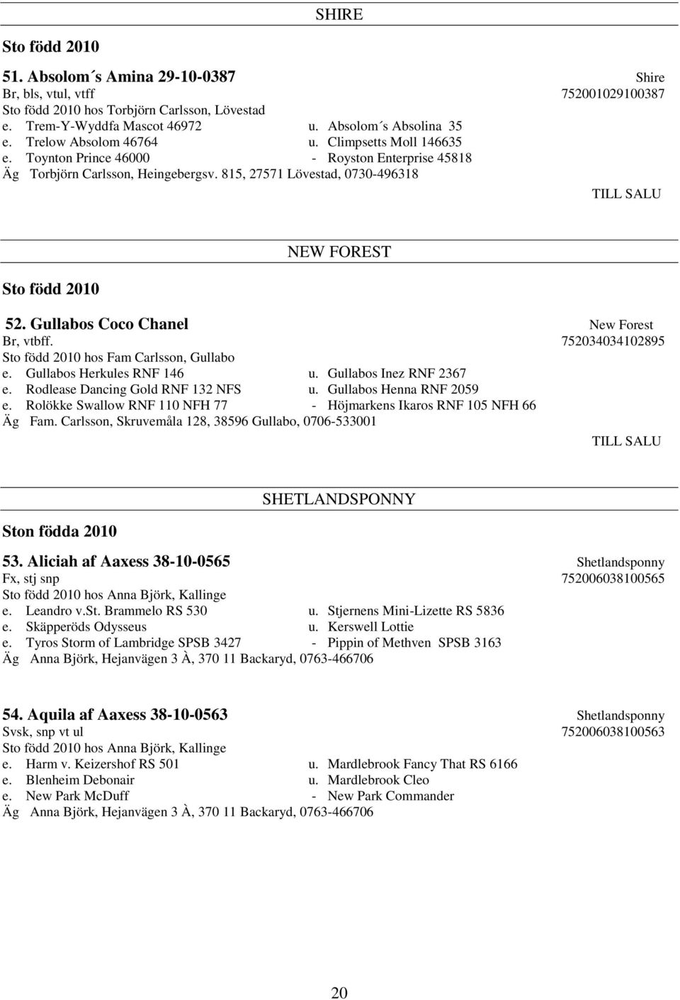 815, 27571 Lövestad, 0730-496318 TILL SALU Sto född 2010 NEW FOREST 52. Gullabos Coco Chanel New Forest Br, vtbff. 752034034102895 Sto född 2010 hos Fam Carlsson, Gullabo e.