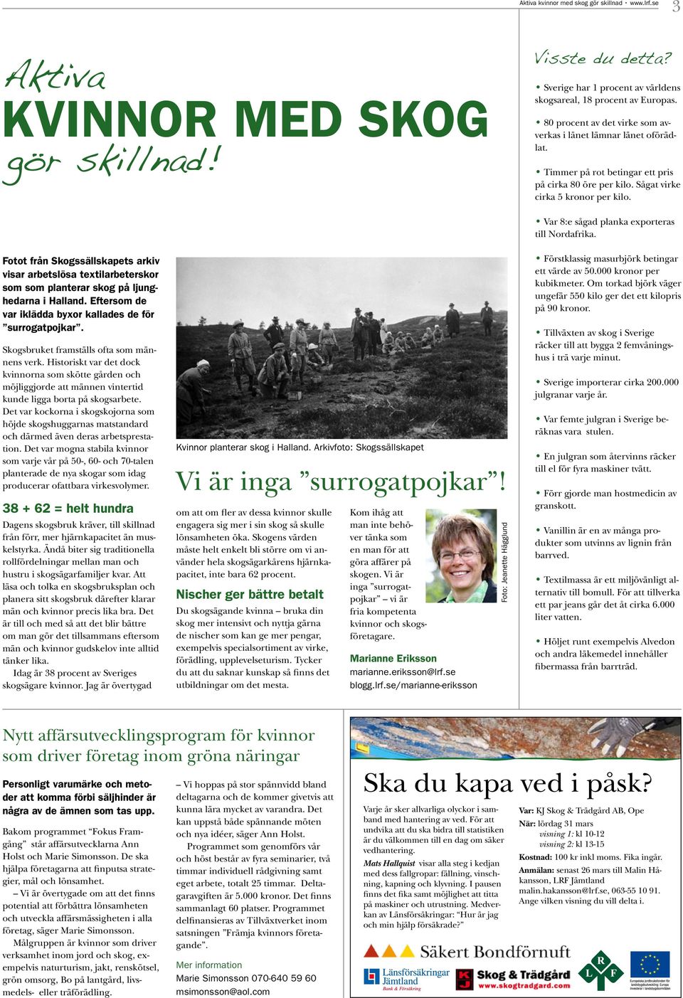 Sågat virke cirka 5 kronor per kilo. Fotot från Skogssällskapets arkiv visar arbetslösa textilarbeterskor som som planterar skog på ljunghedarna i Halland.