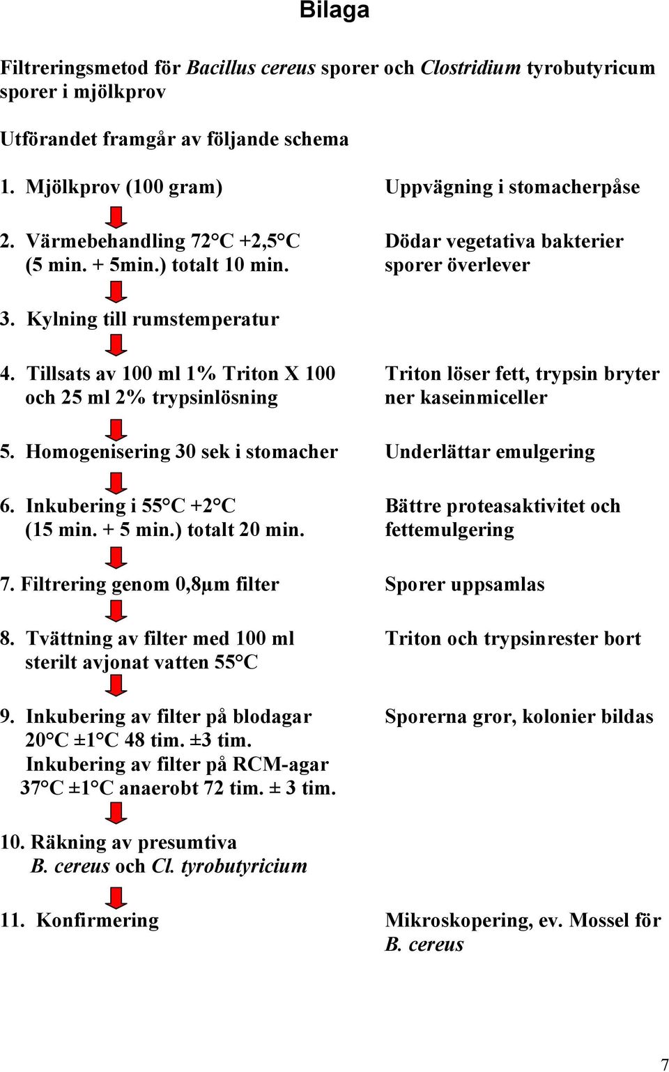 Tillsats av 100 ml 1% Triton X 100 Triton löser fett, trypsin bryter och 25 ml 2% trypsinlösning ner kaseinmiceller 5. Homogenisering 30 sek i stomacher Underlättar emulgering 6.