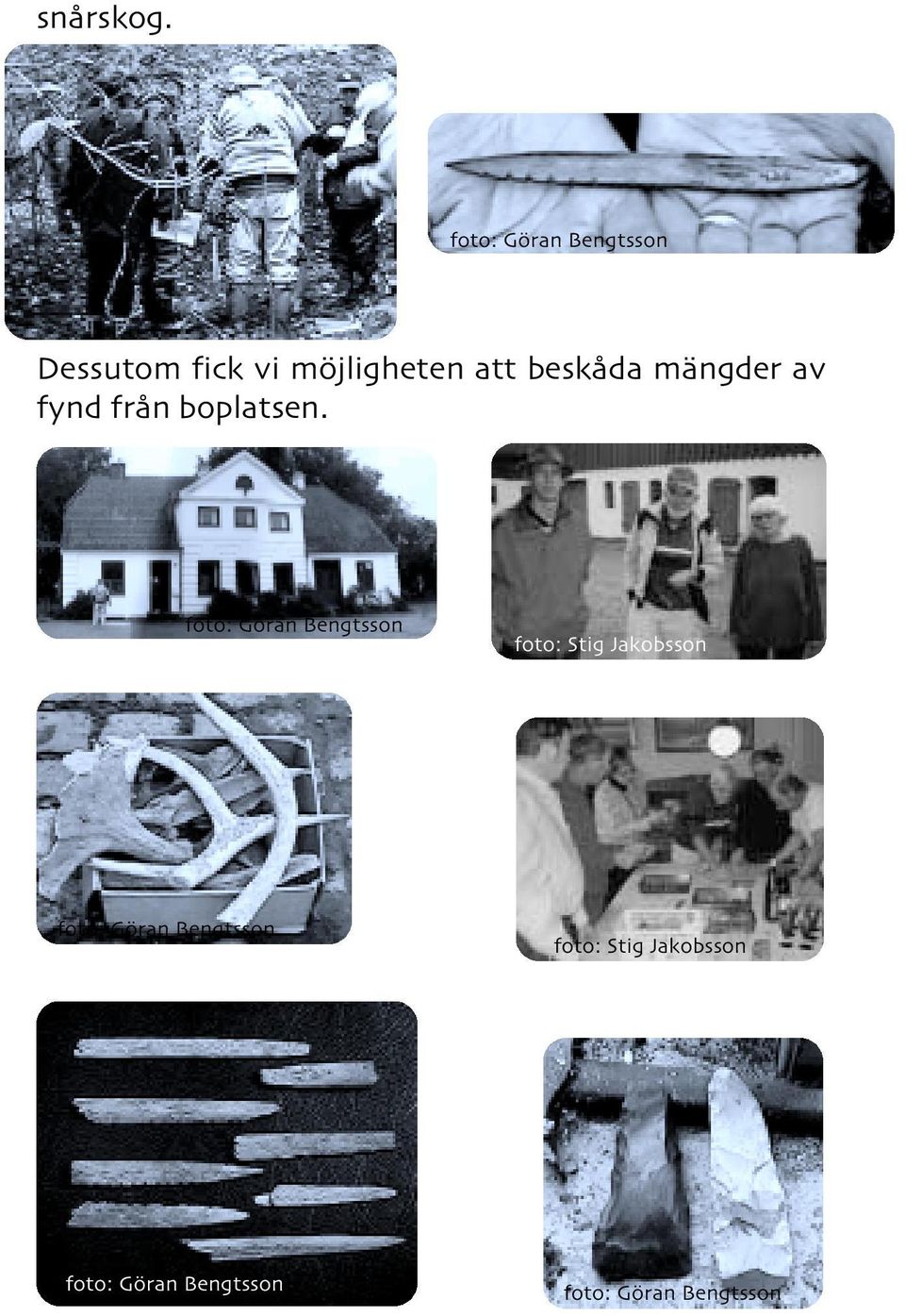 att beskåda mängder av fynd