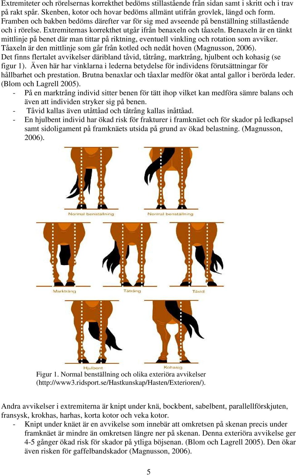 Benaxeln är en tänkt mittlinje på benet där man tittar på riktning, eventuell vinkling och rotation som avviker. Tåaxeln är den mittlinje som går från kotled och nedåt hoven (Magnusson, 2006).