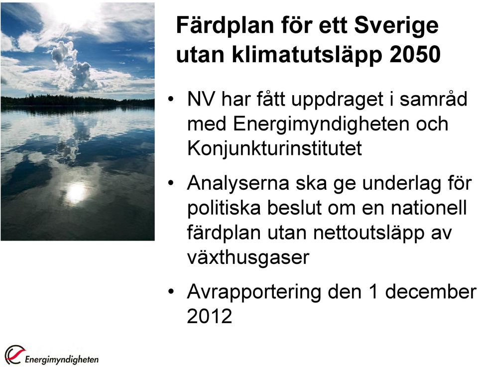 Analyserna ska ge underlag för politiska beslut om en nationell