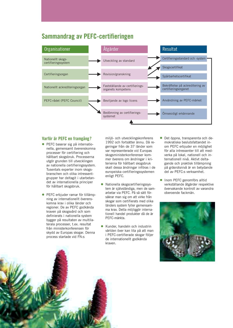 Beviljande av logo licens Användning av PEFC-märket Bedömning av certifieringssystemet Ömsesidigt erkännande Varför är PEFC en framgång?