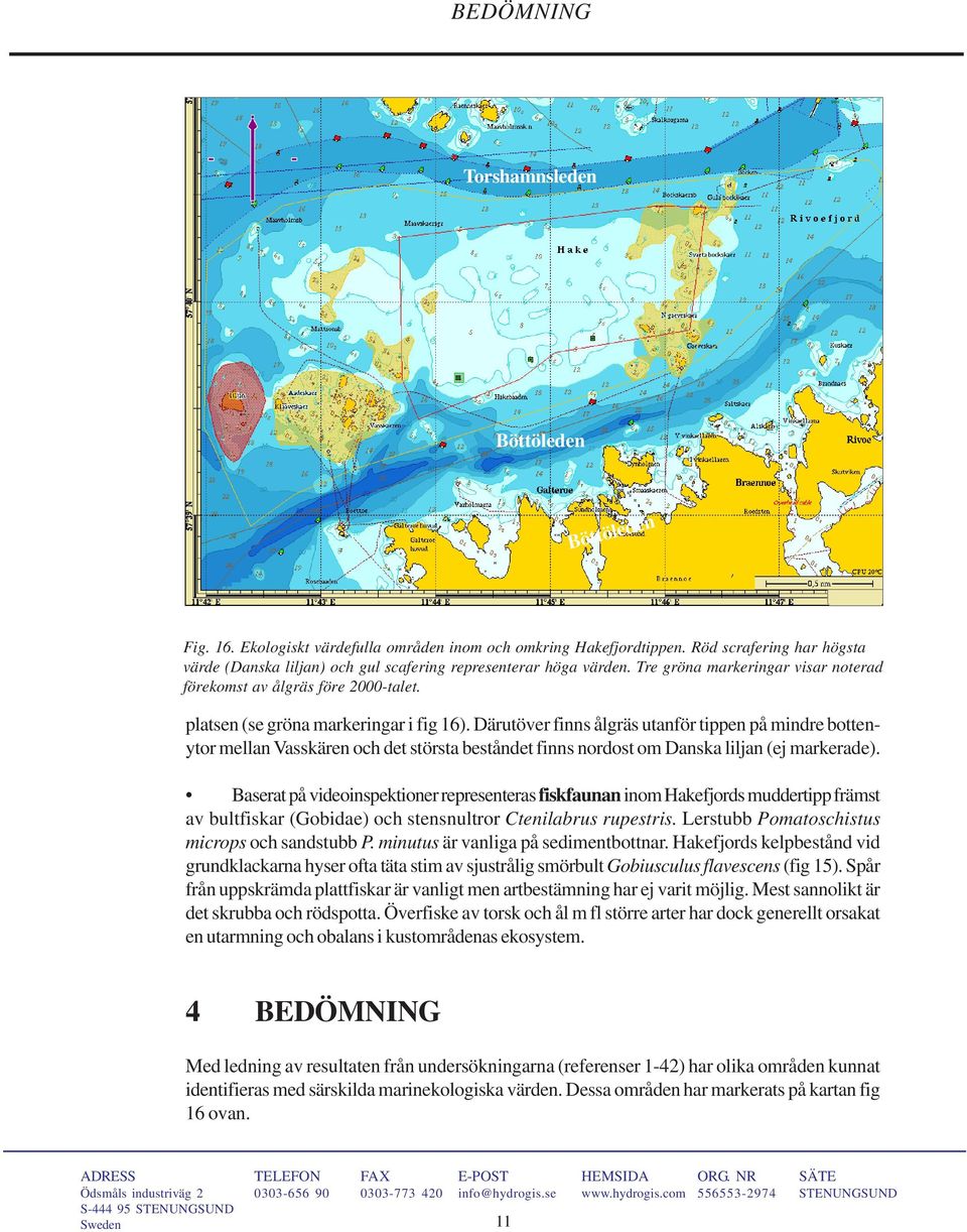 platsen (se gröna markeringar i fig 16). Därutöver finns ålgräs utanför tippen på mindre bottenytor mellan Vasskären och det största beståndet finns nordost om Danska liljan (ej markerade).