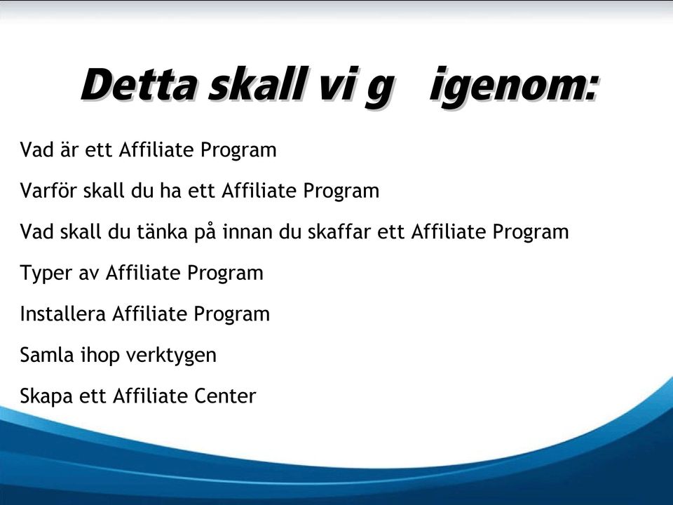 skaffar ett Affiliate Program Typer av Affiliate Program