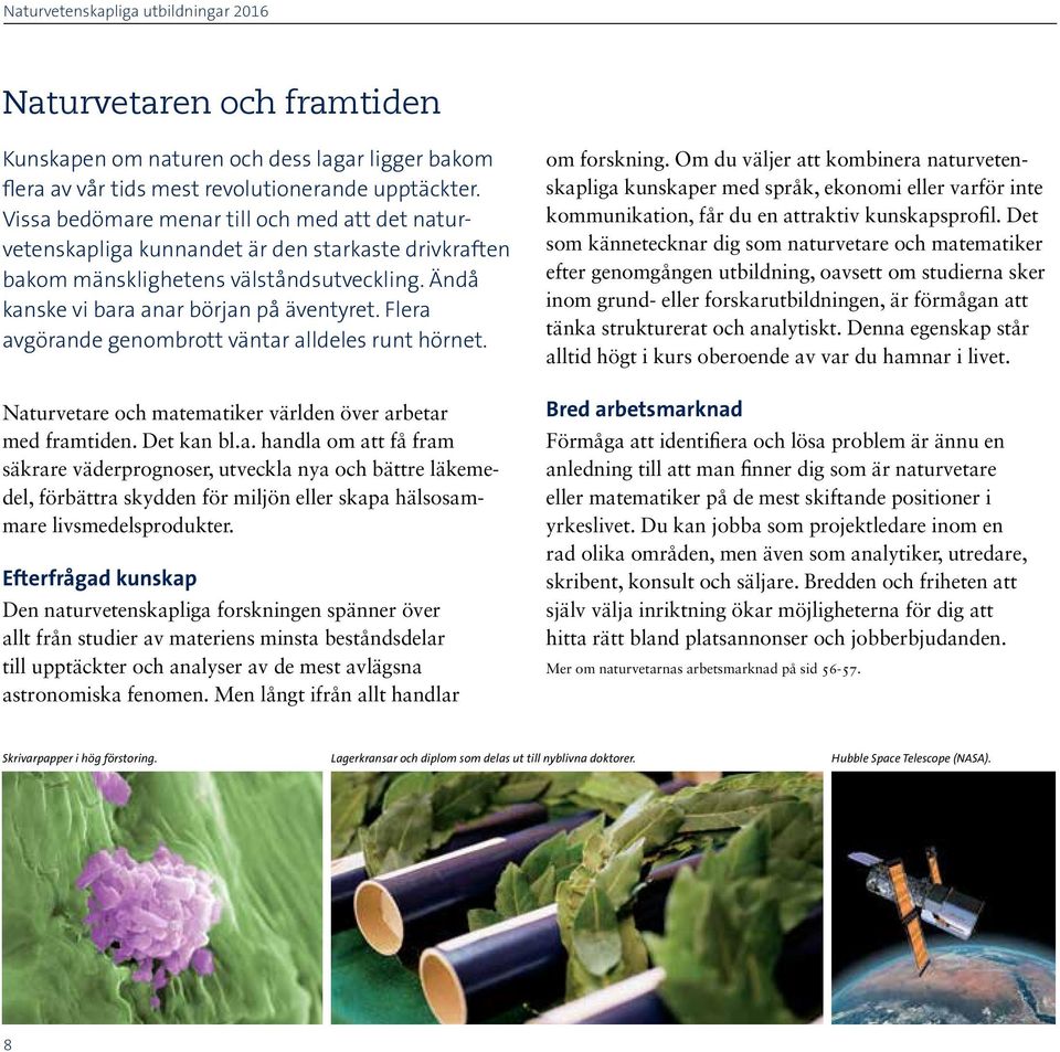 Flera avgörande genombrott väntar alldeles runt hörnet. Naturvetare och matematiker världen över arbetar med framtiden. Det kan bl.a. handla om att få fram säkrare väderprognoser, utveckla nya och bättre läkemedel, förbättra skydden för miljön eller skapa hälsosammare livsmedelsprodukter.