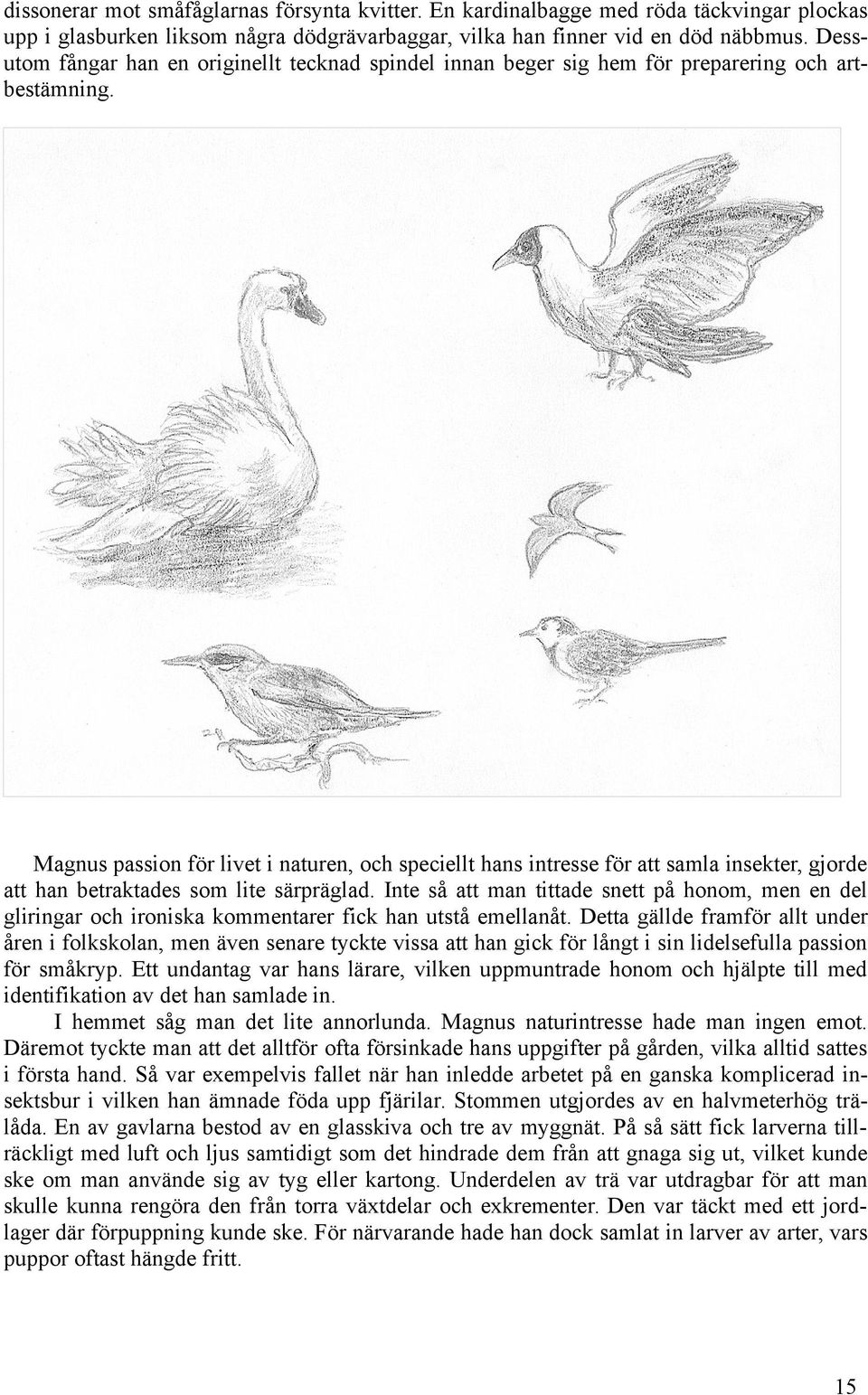 Magnus passion för livet i naturen, och speciellt hans intresse för att samla insekter, gjorde att han betraktades som lite särpräglad.