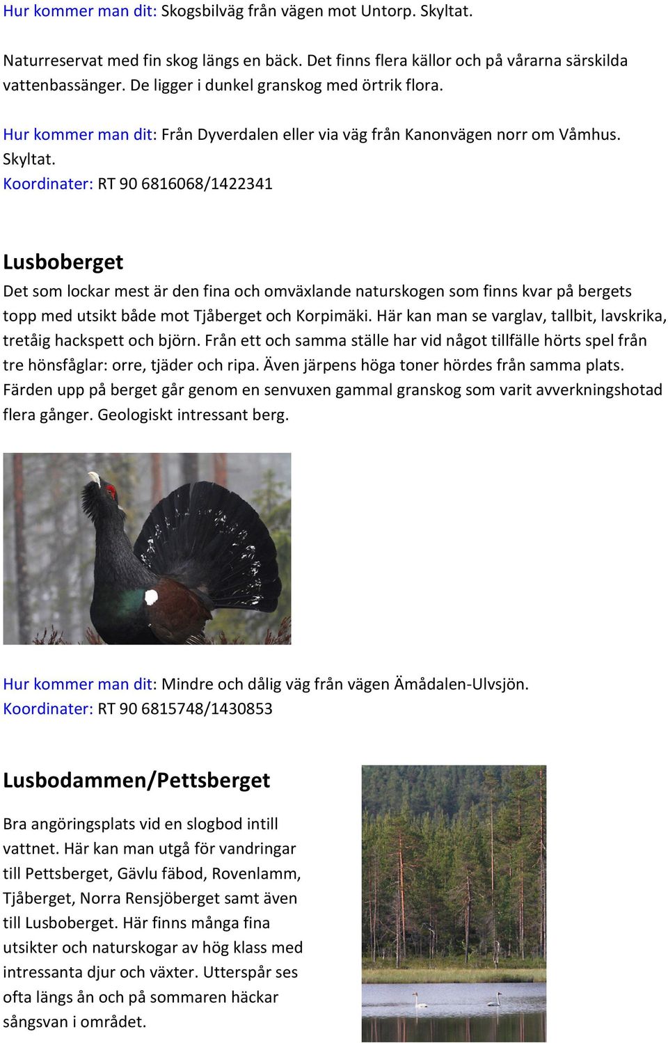 Koordinater: RT 90 6816068/1422341 Lusboberget Det som lockar mest är den fina och omväxlande naturskogen som finns kvar på bergets topp med utsikt både mot Tjåberget och Korpimäki.