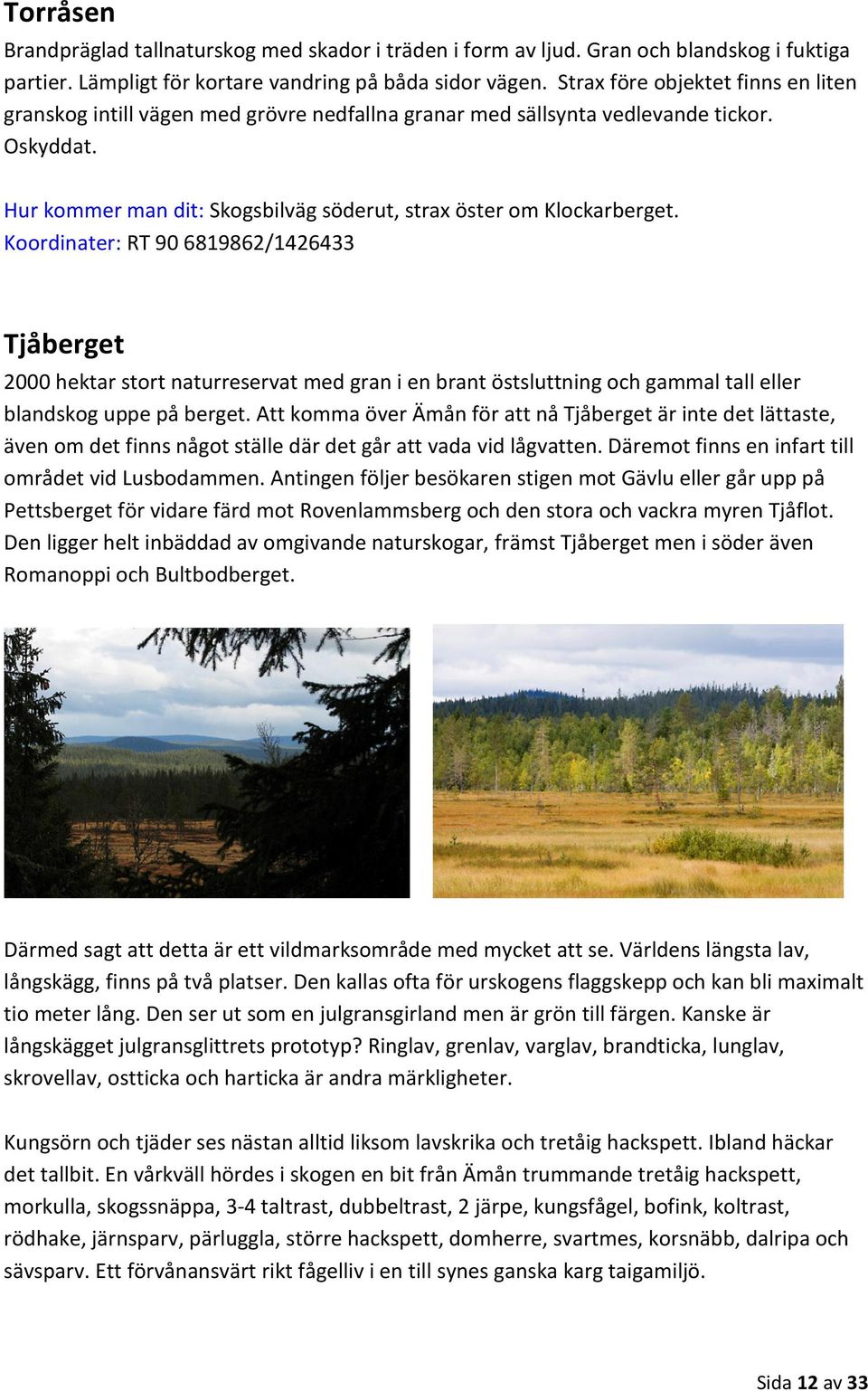 Koordinater: RT 90 6819862/1426433 Tjåberget 2000 hektar stort naturreservat med gran i en brant östsluttning och gammal tall eller blandskog uppe på berget.