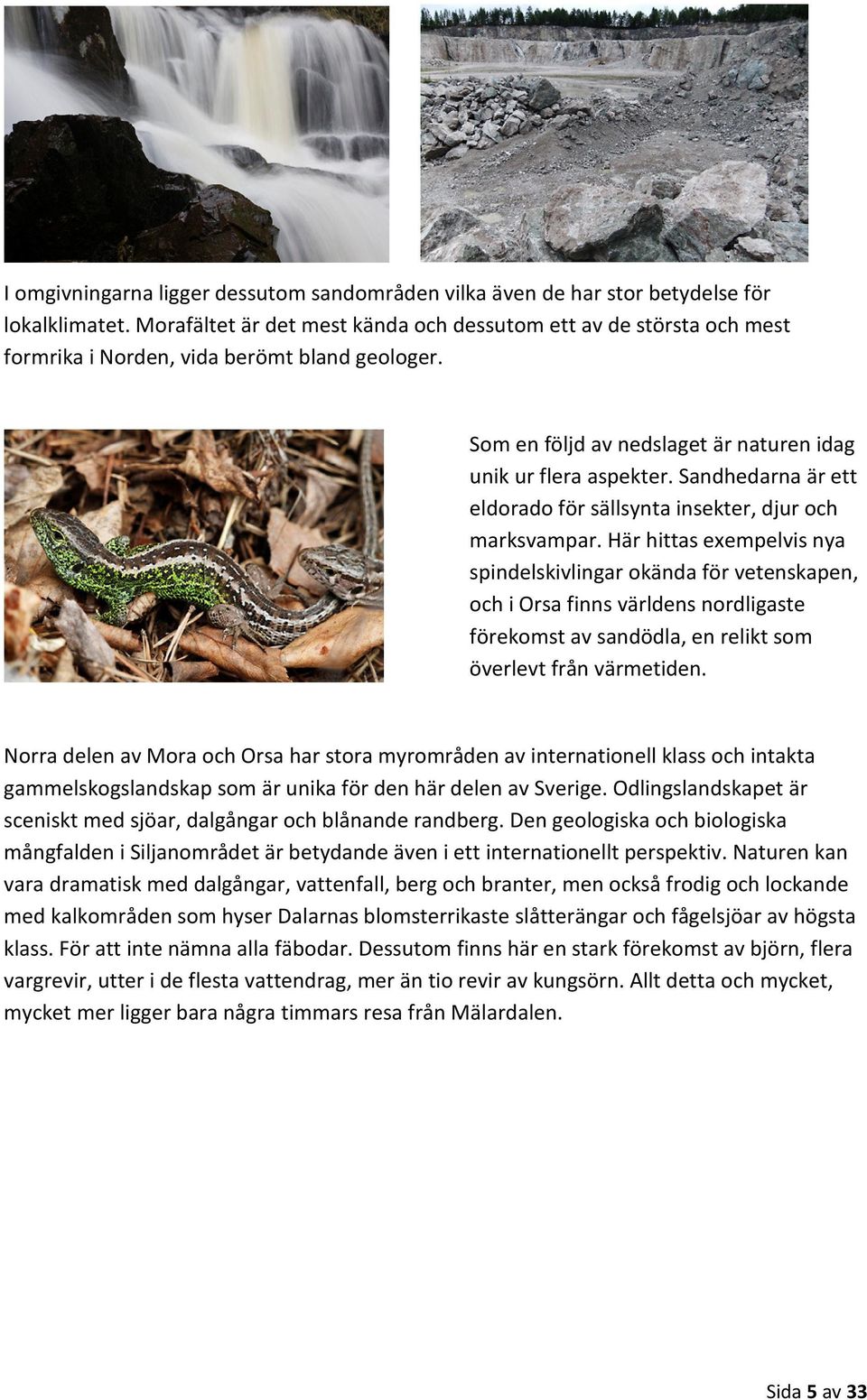 Sandhedarna är ett eldorado för sällsynta insekter, djur och marksvampar.