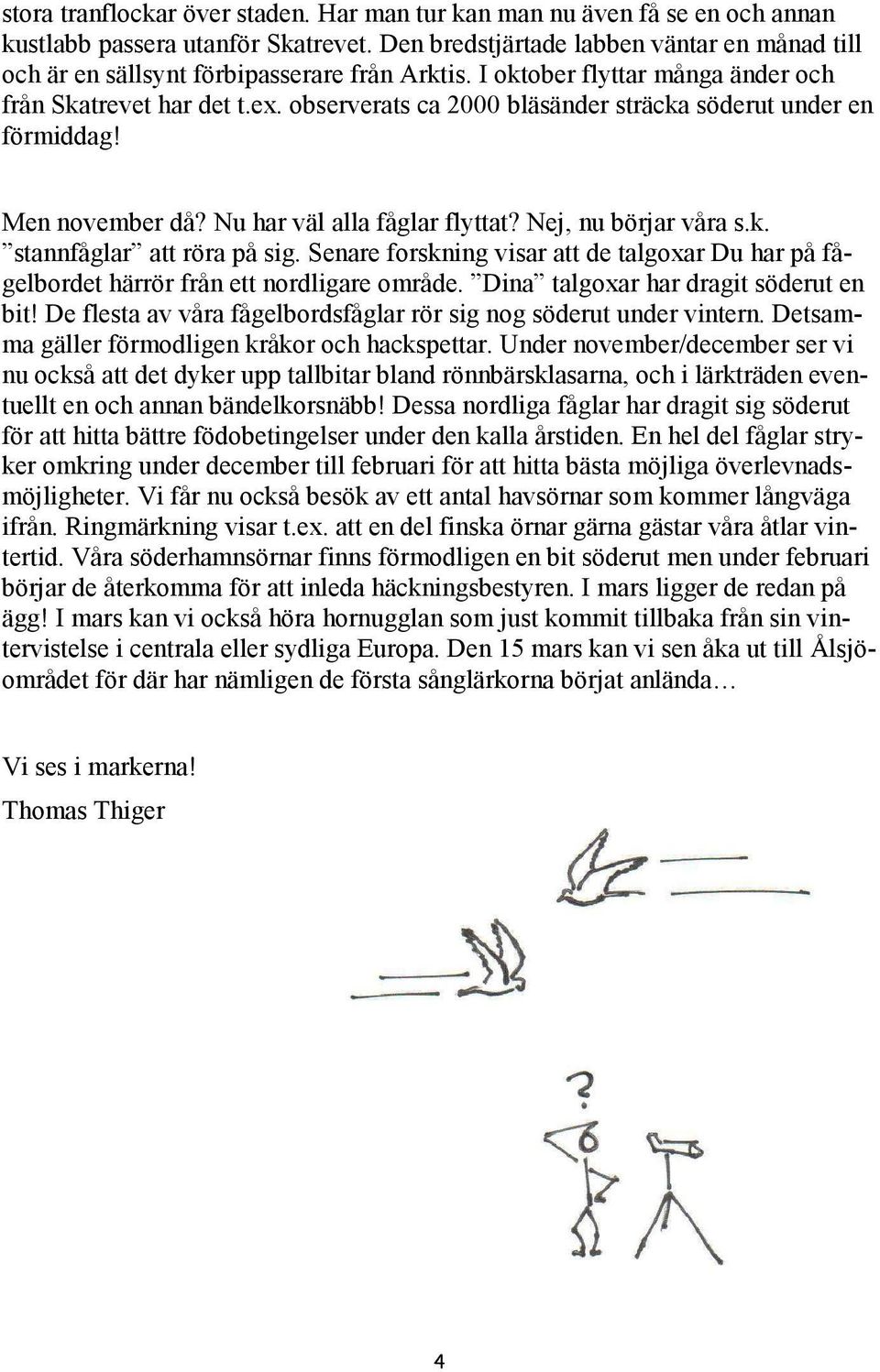 observerats ca 2000 bläsänder sträcka söderut under en förmiddag! Men november då? Nu har väl alla fåglar flyttat? Nej, nu börjar våra s.k. stannfåglar att röra på sig.