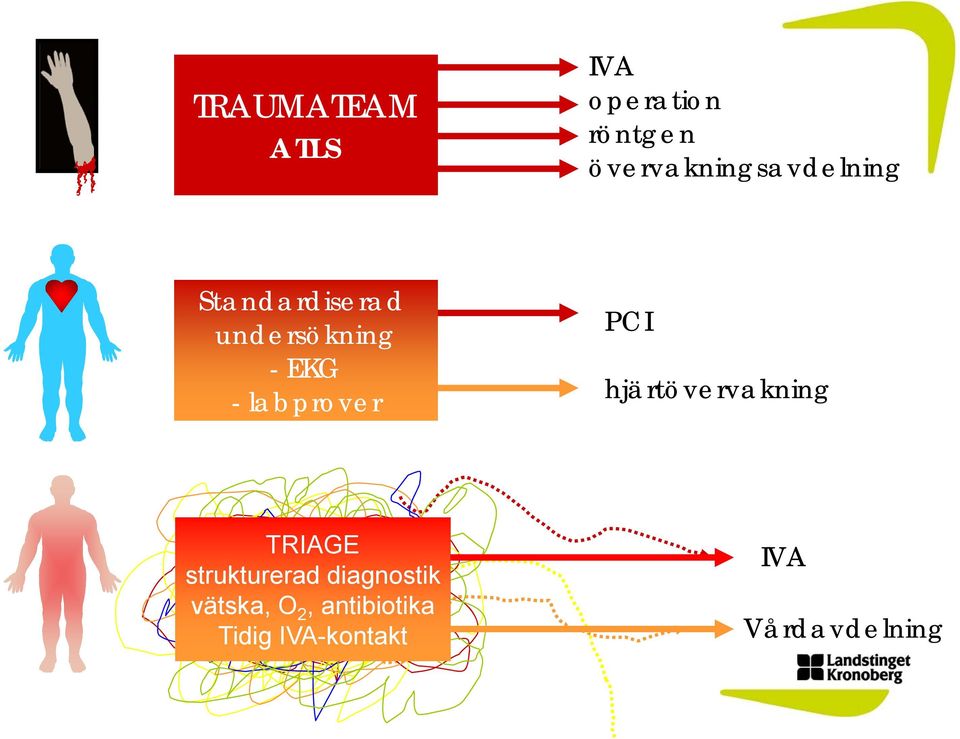 labprover PCI hjärtövervakning TRIAGE strukturerad