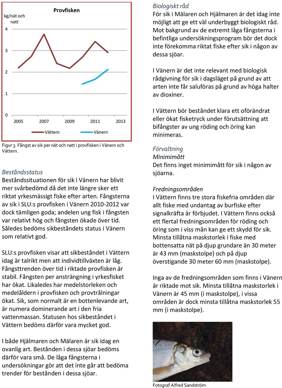 I Vänern är det inte relevant med biologisk rådgivning för sik i dagsläget på grund av att arten inte får saluföras på grund av höga halter av dioxiner.