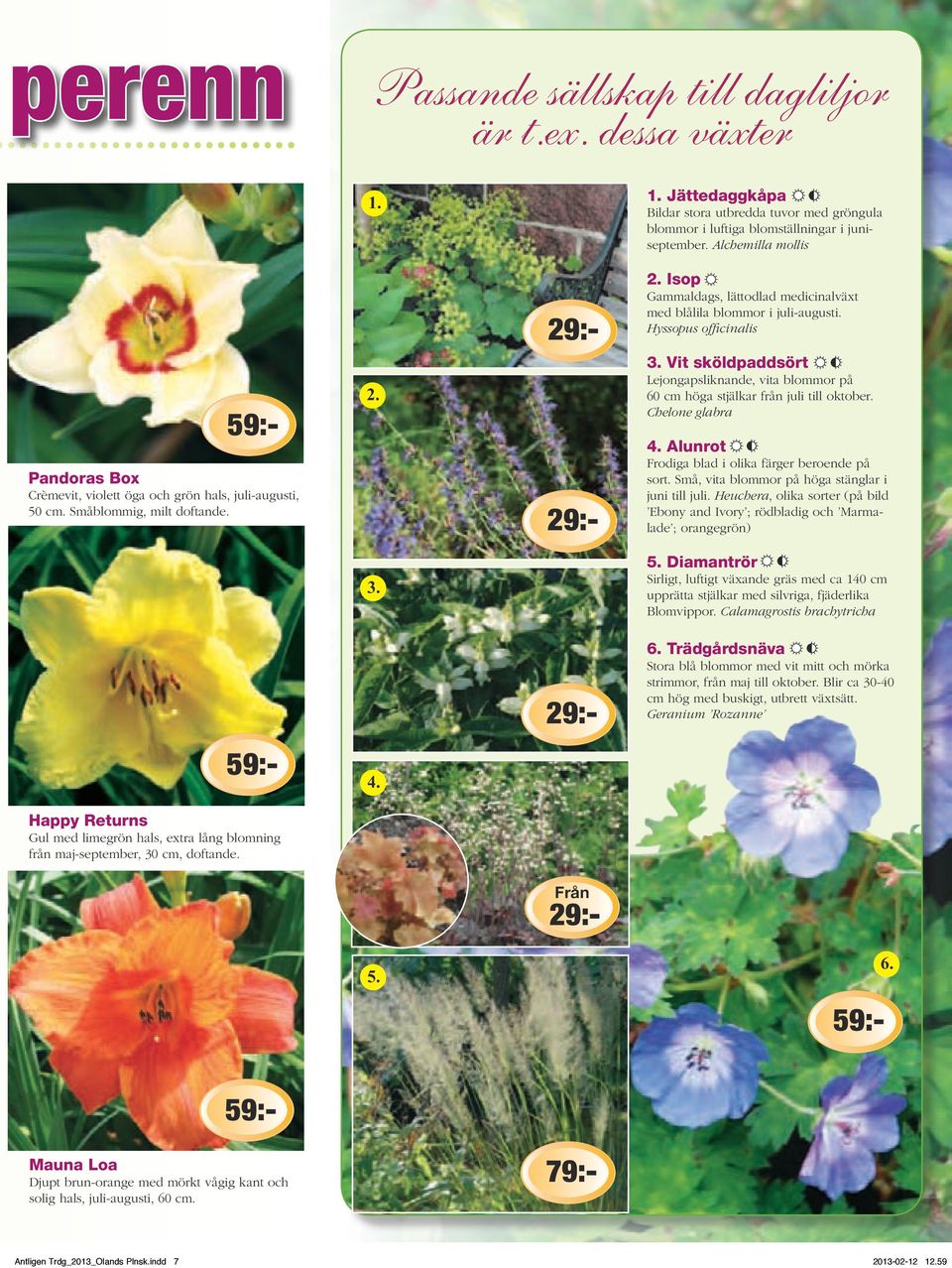 Hyssopus officinalis Vit sköldpaddsört Lejongapsliknande, vita blommor på 60 cm höga stjälkar från juli till oktober. Chelone glabra 4. Alunrot Frodiga blad i olika färger beroende på sort.
