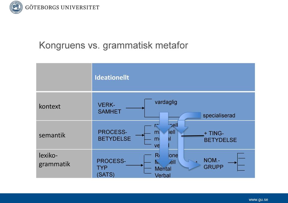 specialiserad semantik lexikogrammatik PROCESS- BETYDELSE