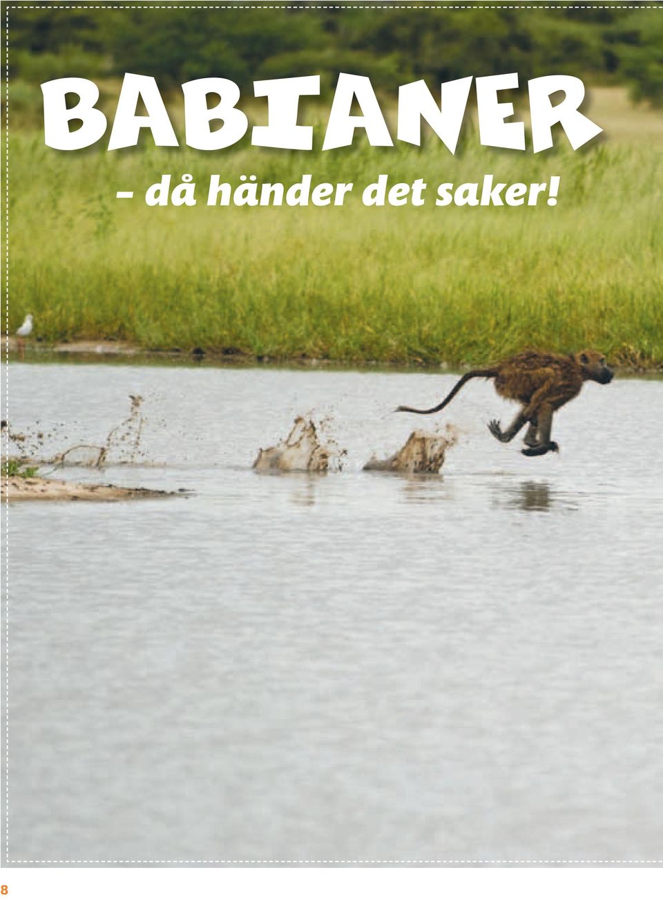 det saker!