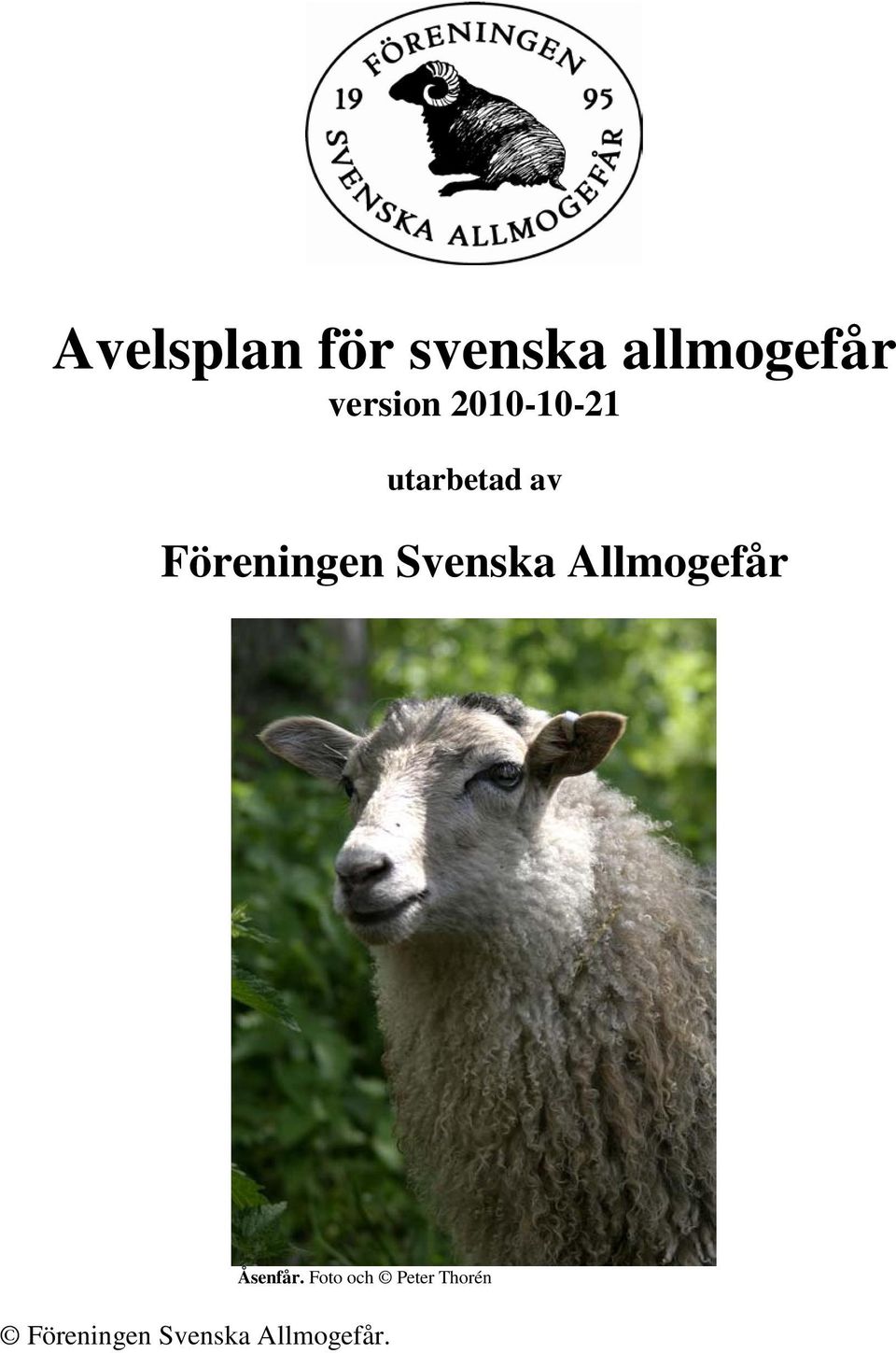 Föreningen Svenska Allmogefår Åsenfår.