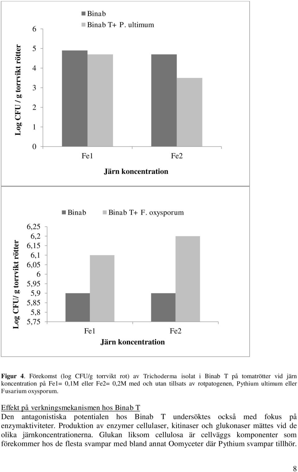 Förekomst (log CFU/g torrvikt rot) av Trichoderma isolat i Binab T på tomatrötter vid järn koncentration på Fe1=,1M eller Fe2=,2M med och utan tillsats av rotpatogenen, Pythium ultimum eller Fusarium