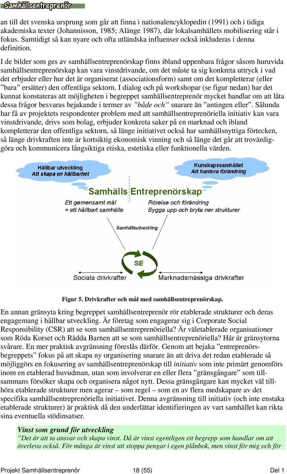 I de bilder som ges av samhällsentreprenörskap finns ibland uppenbara frågor såsom huruvida samhällsentreprenörskap kan vara vinstdrivande, om det måste ta sig konkreta uttryck i vad det erbjuder