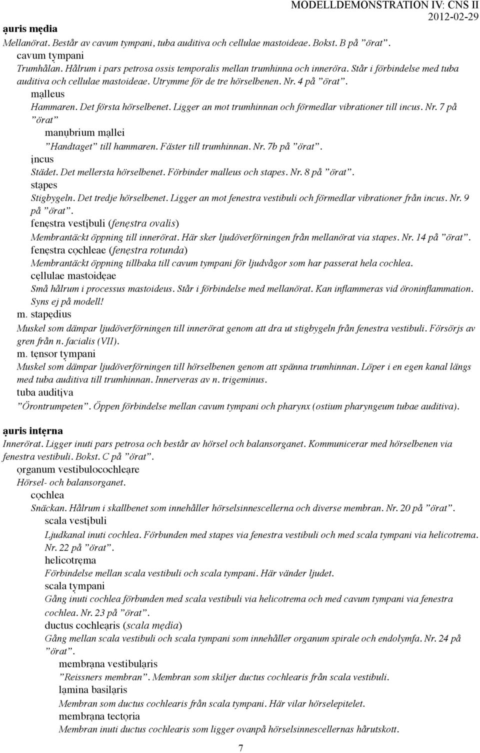 Ligger an mot trumhinnan och förmedlar vibrationer till incus. Nr. 7 på örat manụbrium mạllei Handtaget till hammaren. Fäster till trumhinnan. Nr. 7b på örat. ịncus Städet. Det mellersta hörselbenet.