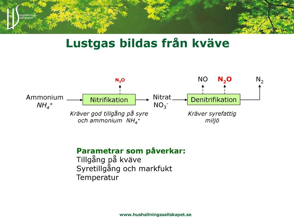 Nitrat NO 3 - Denitrifikation Kräver syrefattig miljö