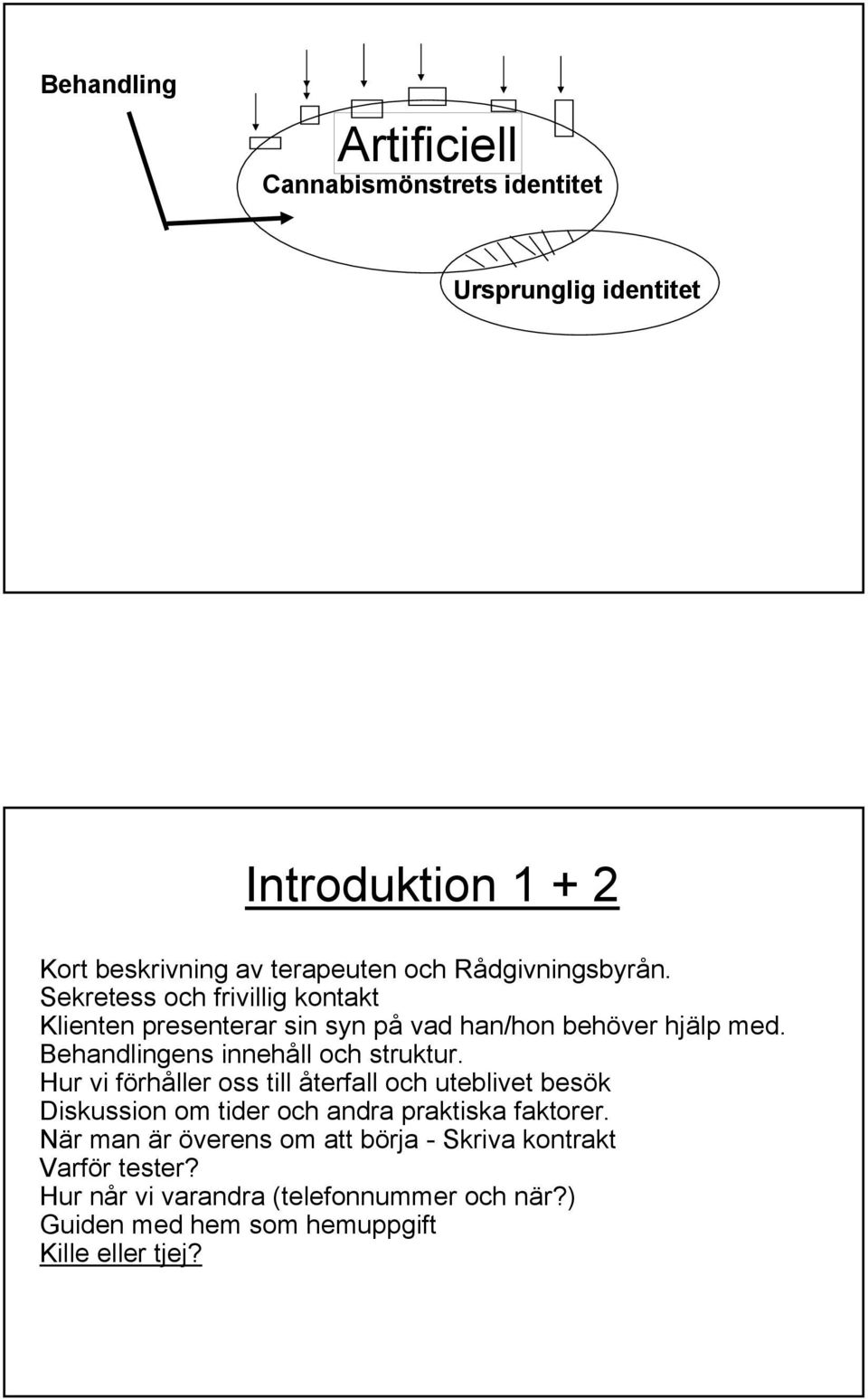 Behandlingens innehåll och struktur.