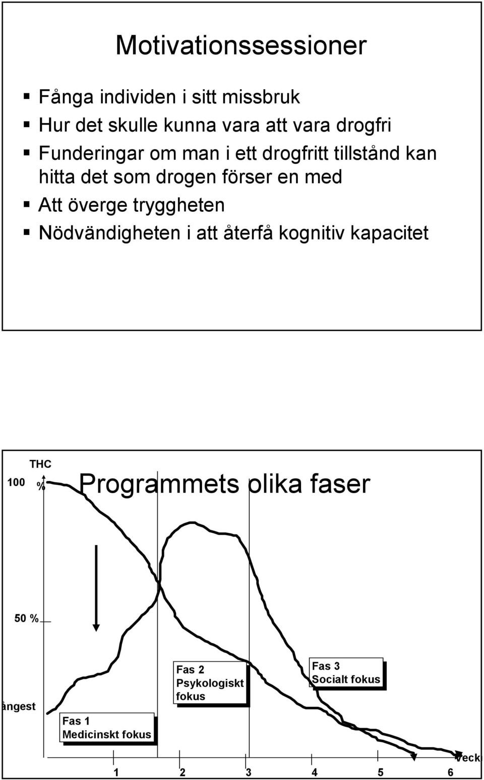 Att överge tryggheten Nödvändigheten i att återfå kognitiv kapacitet THC 100 % Programmets